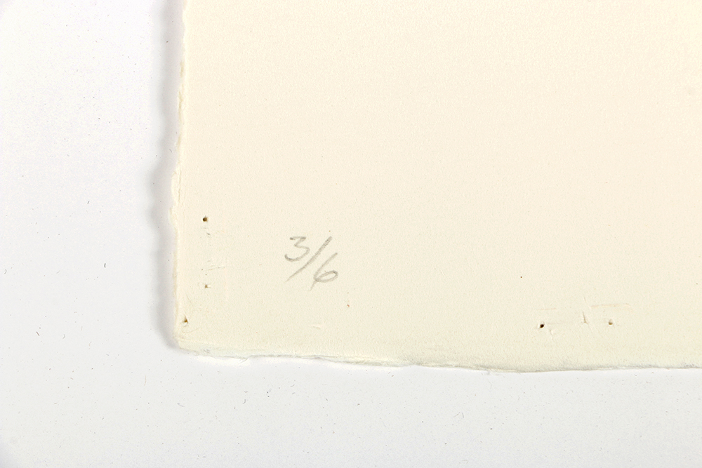 Ricardo Morin Complete Series of Watercolor Paintings on Paper "Inf_landscapes"