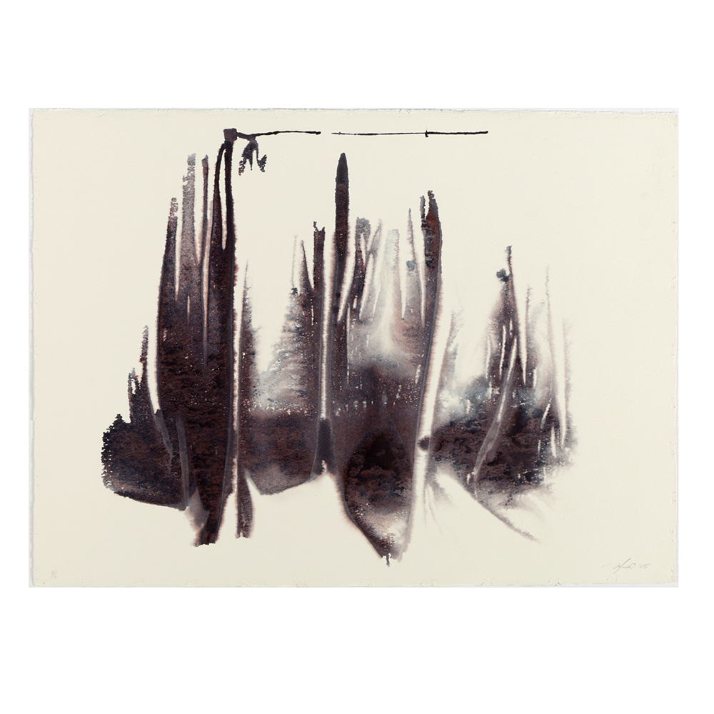 Ricardo Morin Complete Series of Watercolor Paintings on Paper "Inf_landscapes"