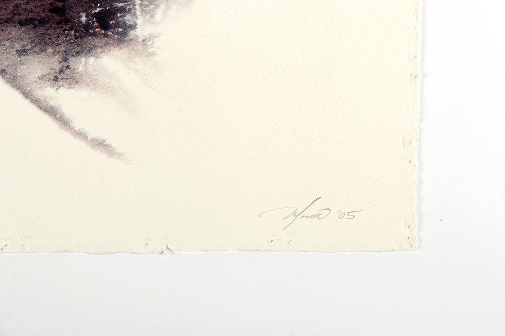 Ricardo Morin Complete Series of Watercolor Paintings on Paper "Inf_landscapes"