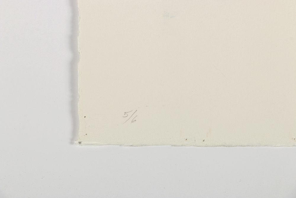 Ricardo Morin Complete Series of Watercolor Paintings on Paper "Inf_landscapes"