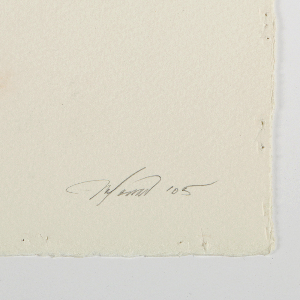 Ricardo Morin Complete Series of Watercolor Paintings on Paper "Inf_landscapes"