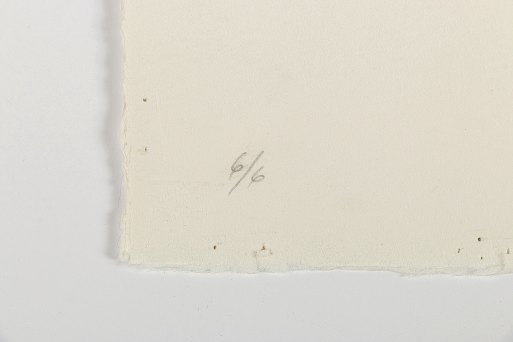 Ricardo Morin Complete Series of Watercolor Paintings on Paper "Inf_landscapes"