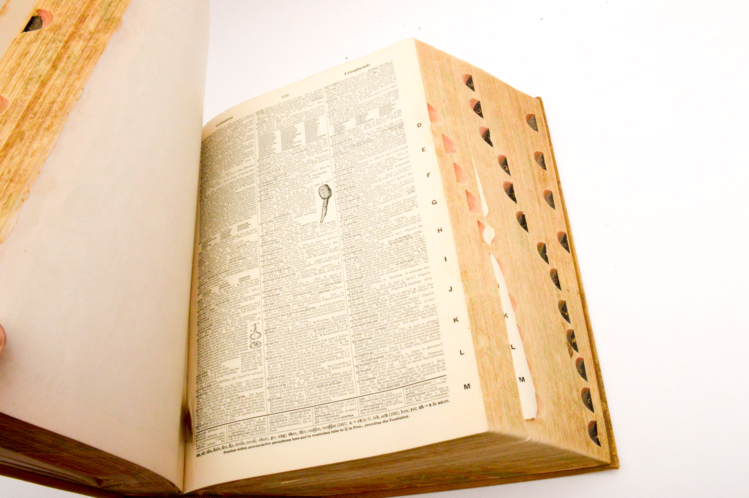 Vintage Dictionaries Featuring 1941 Merriam-Webster "Webster's New International Dictionary, Second Edition"