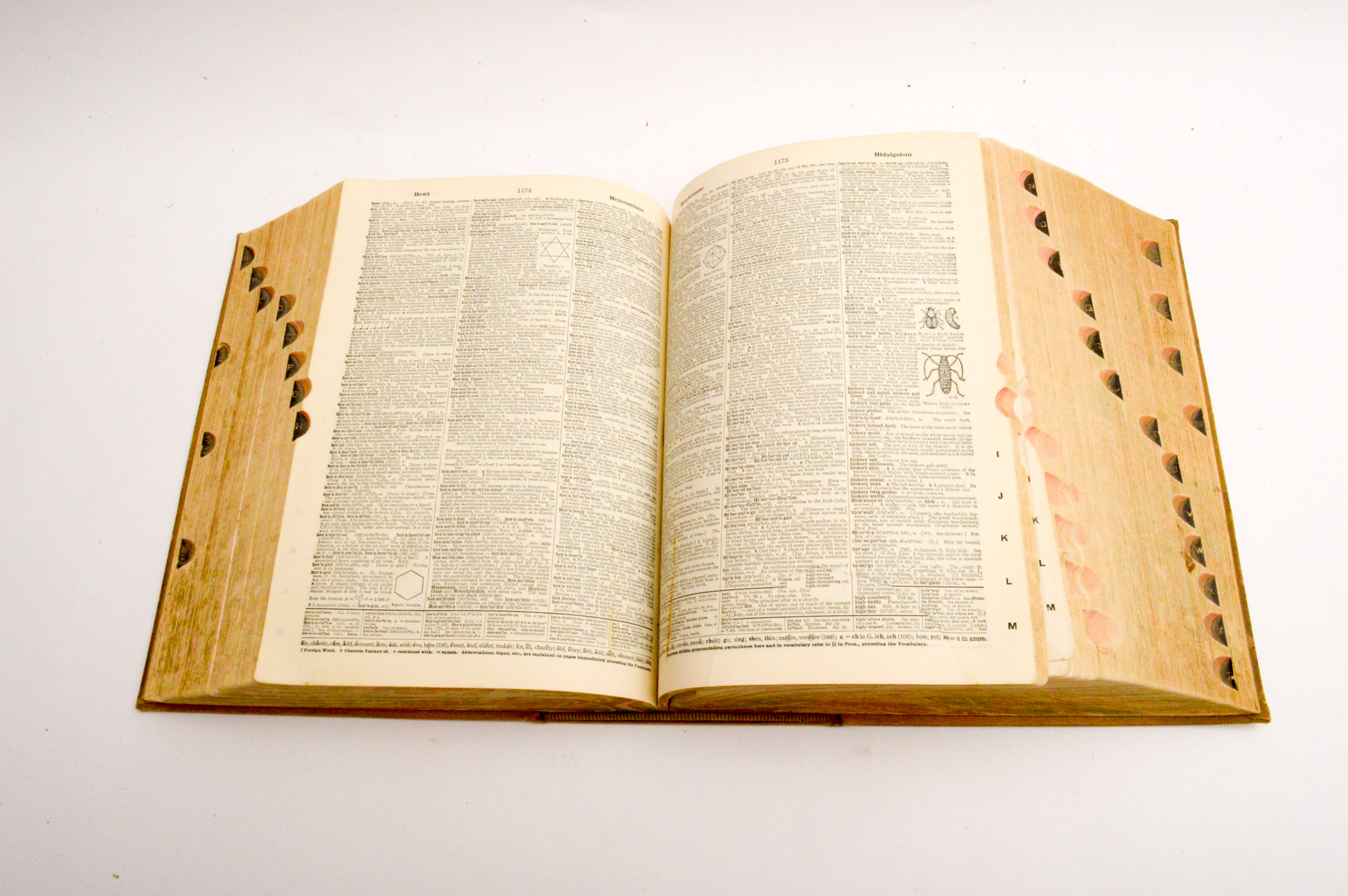 Vintage Dictionaries Featuring 1941 Merriam-Webster "Webster's New International Dictionary, Second Edition"