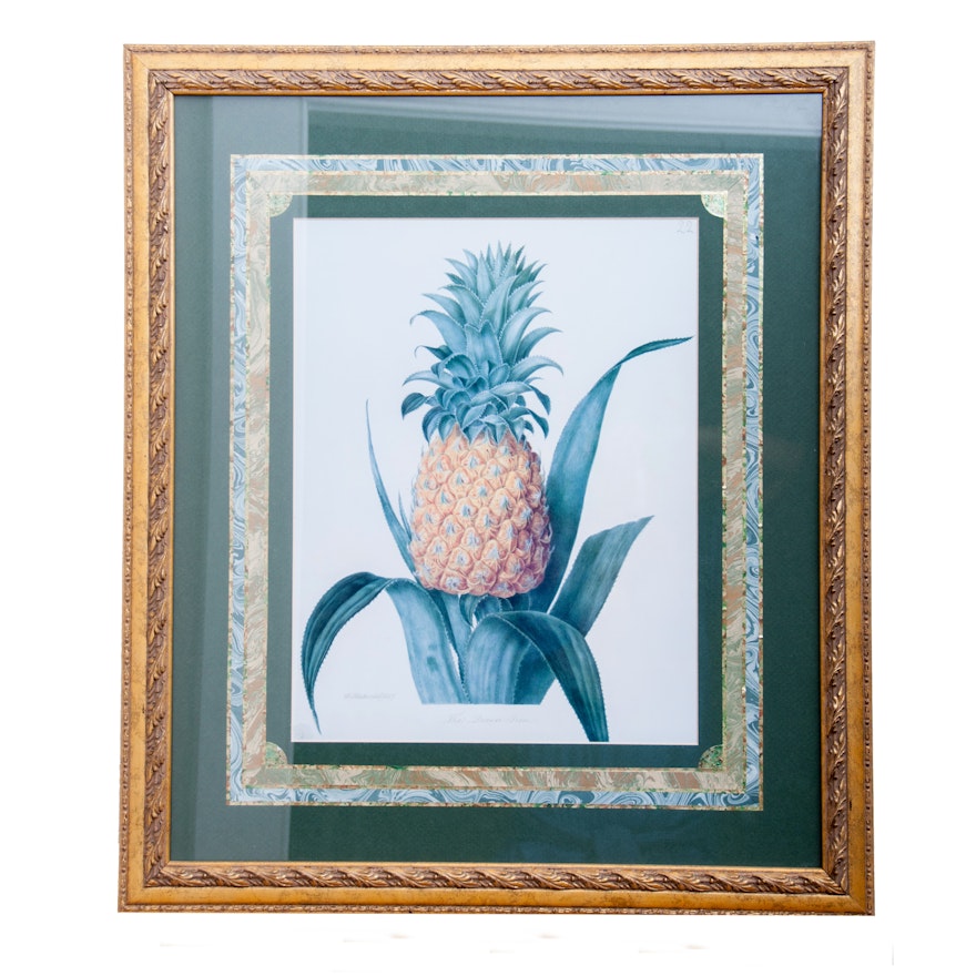 Framed Print After a Watercolor, "The Queen Pine"