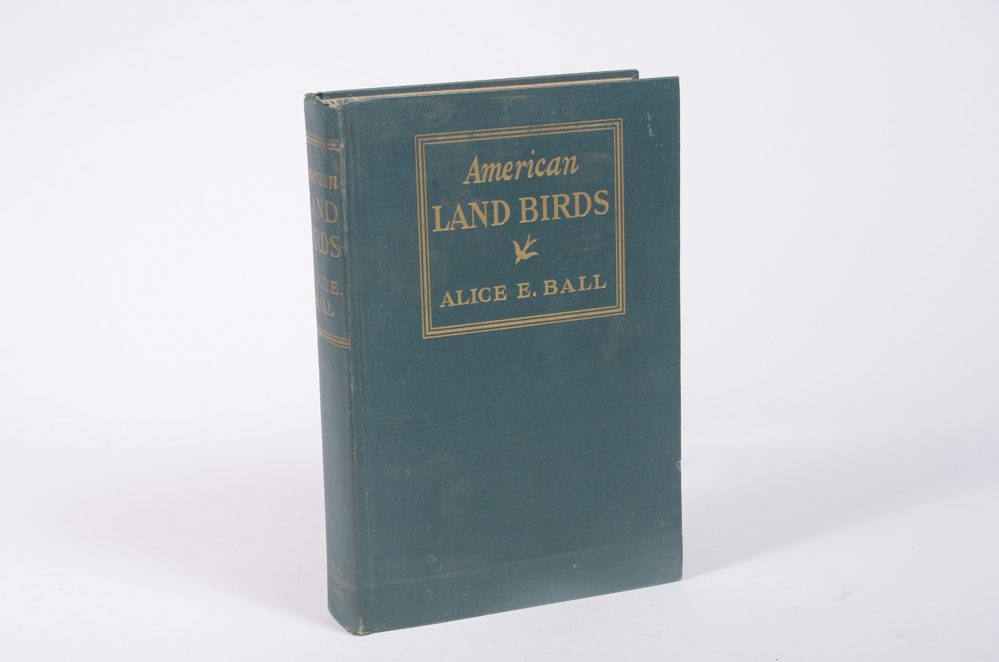 Collection of Vintage and Antique Non-Fiction Books