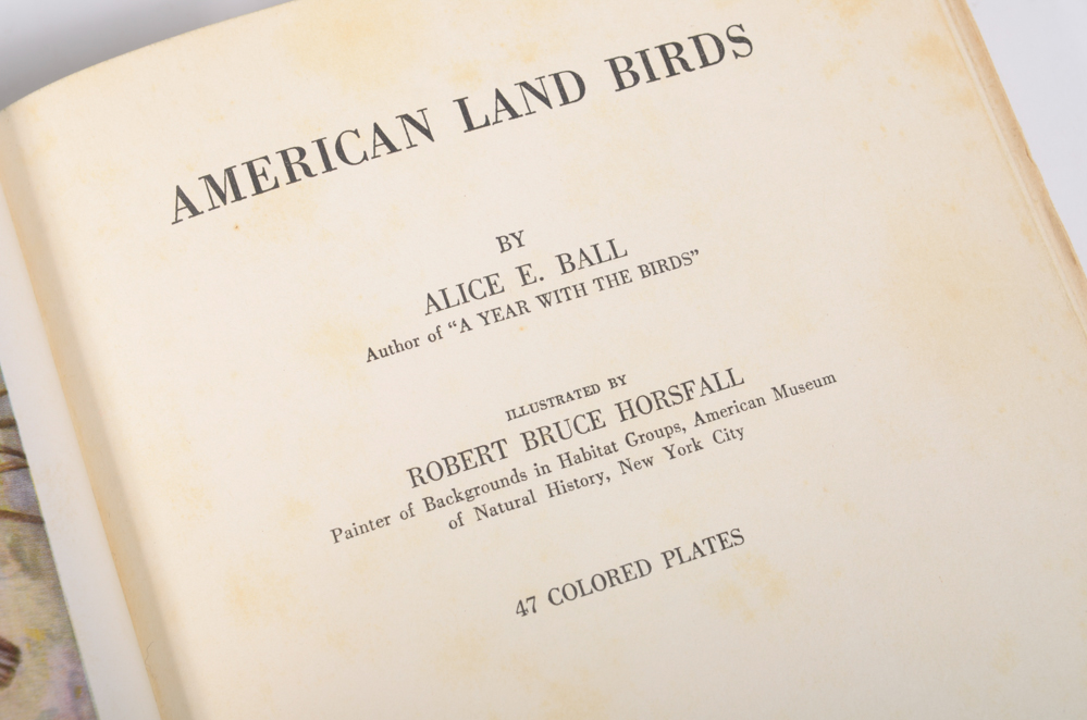 Collection of Vintage and Antique Non-Fiction Books