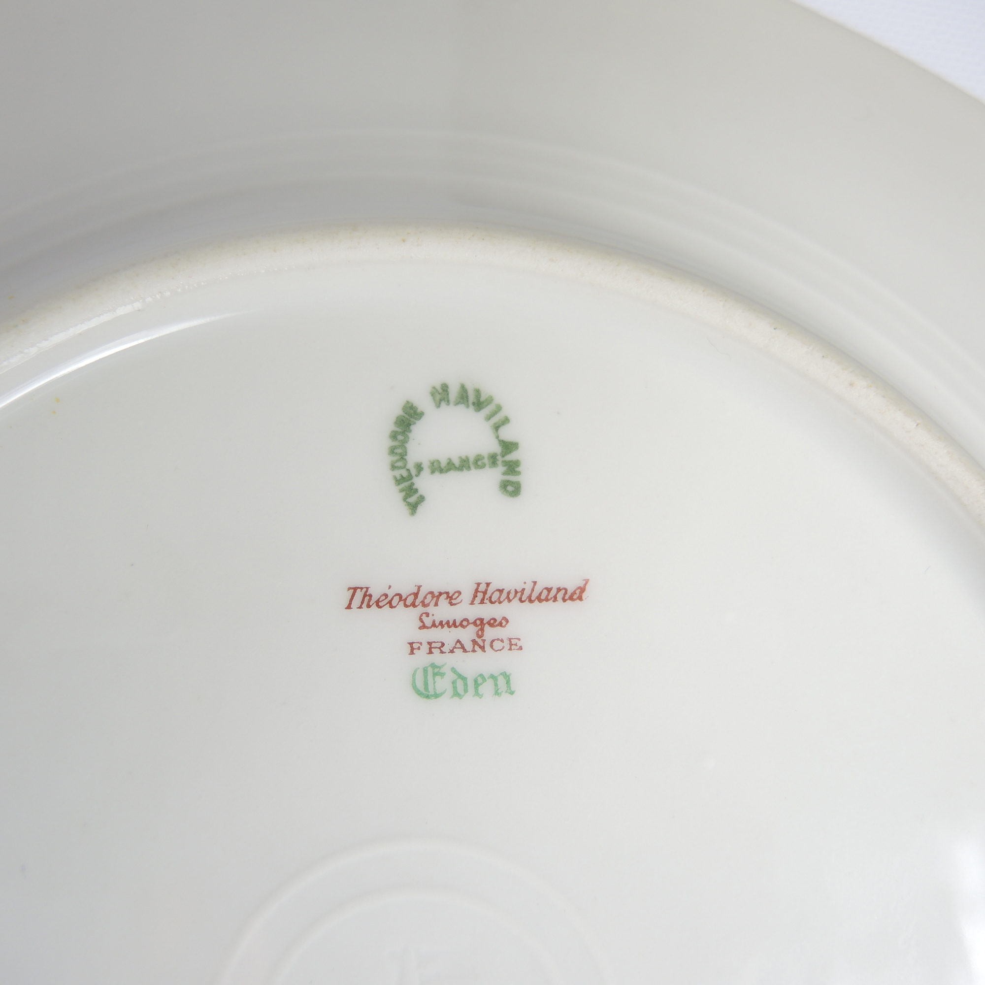 Theodore Haviland "Eden" Porcelain Dinner Service Set