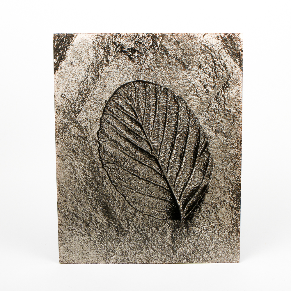 Jack McNeal Photograph "Leaf"