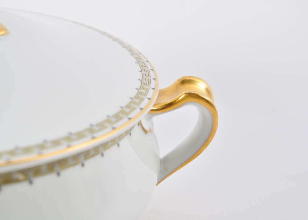 Antique Haviland "Albany" Limoges China