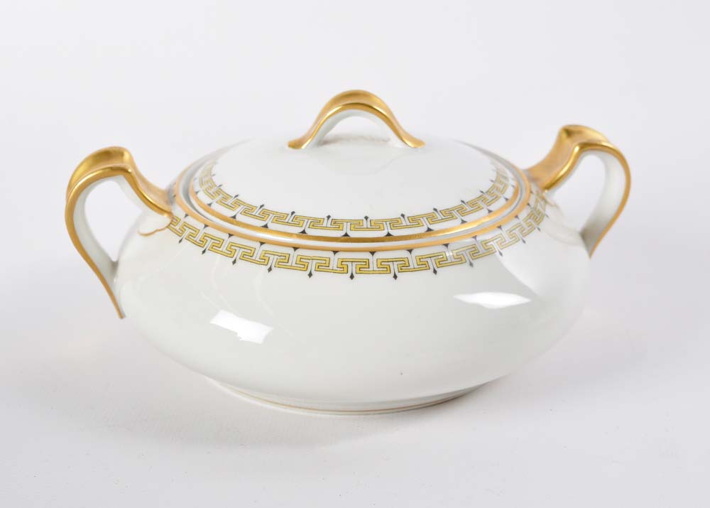 Antique Haviland "Albany" Limoges China