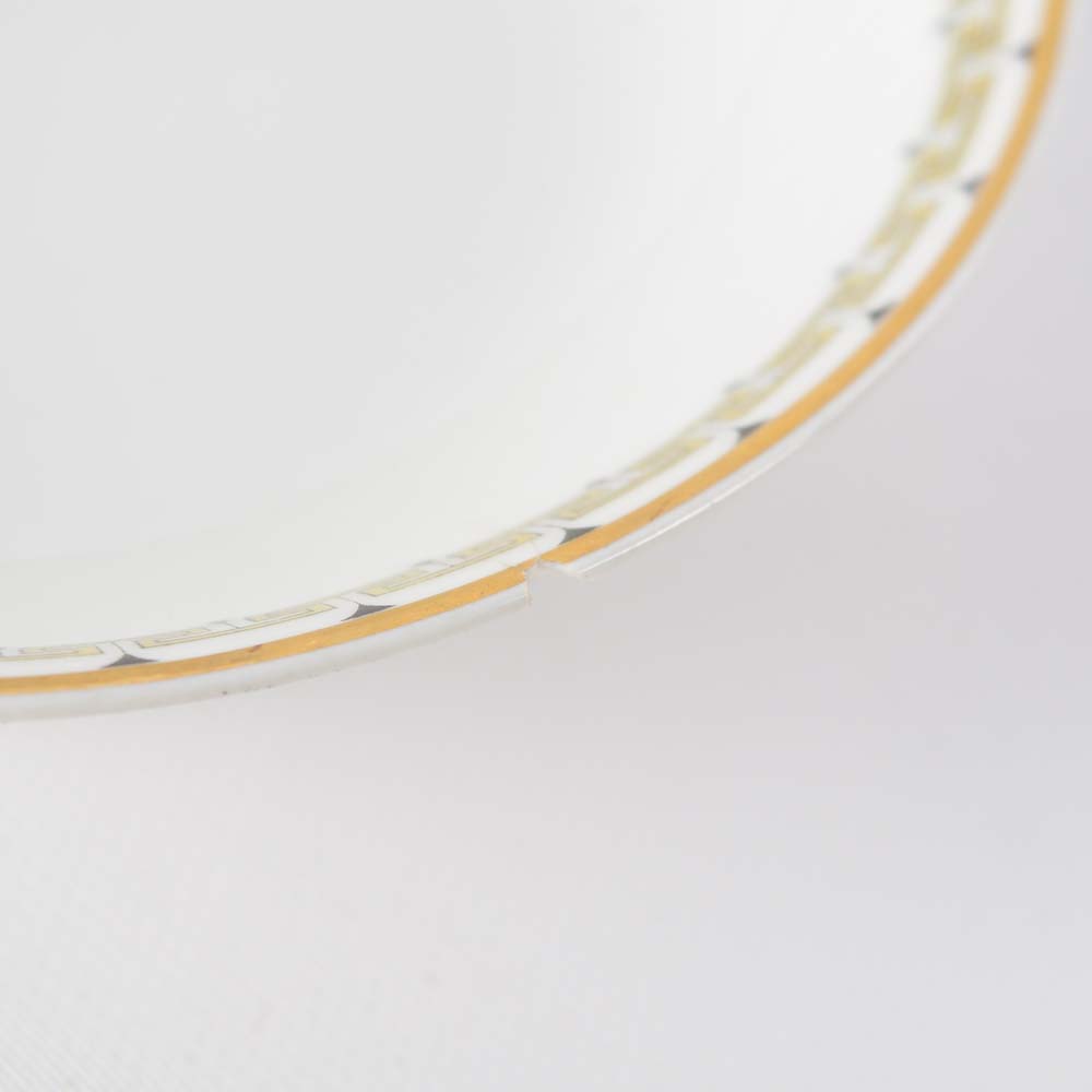 Antique Haviland "Albany" Limoges China