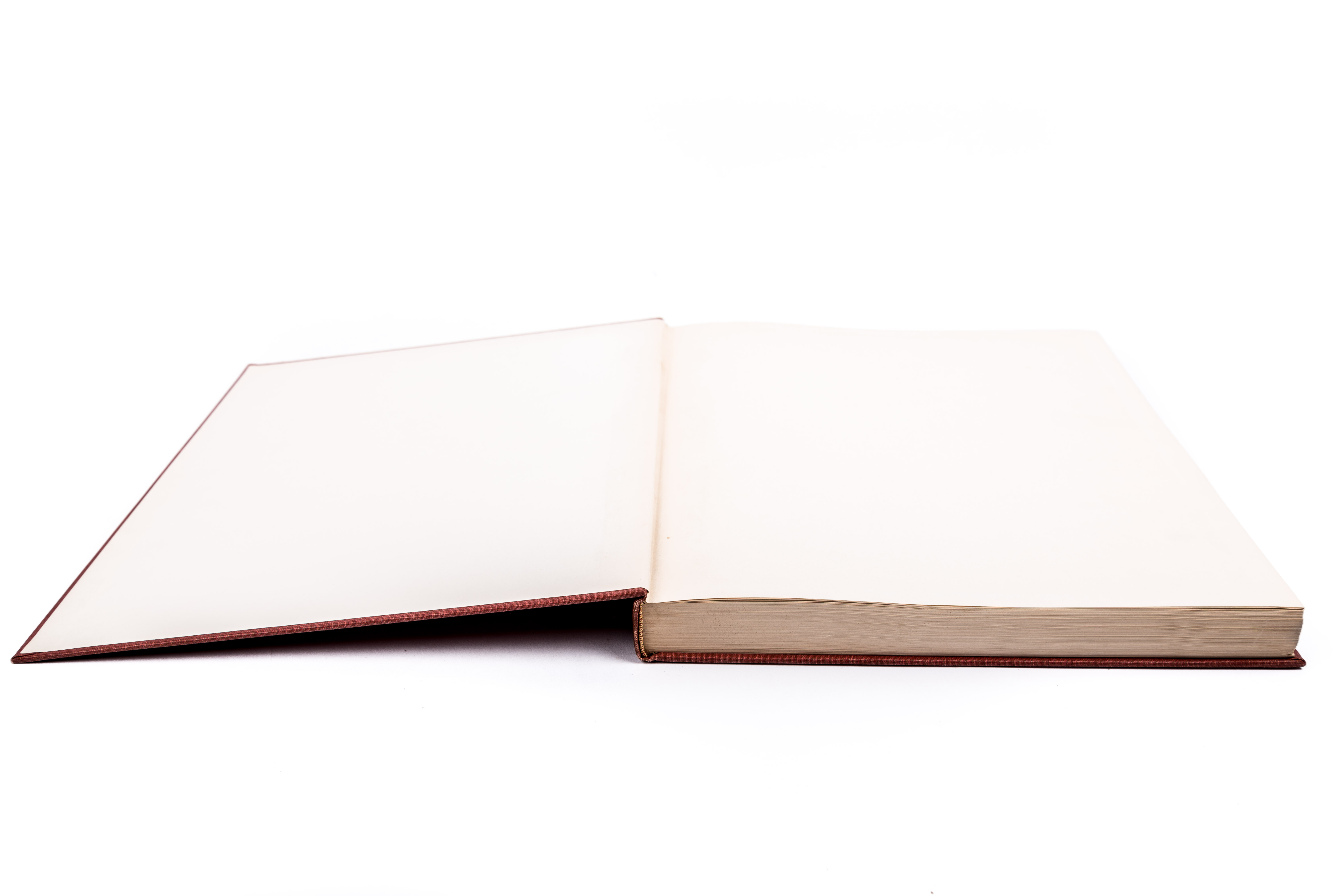 Sylvain Sauvage Illustrated "Cyrano de Bergerac"