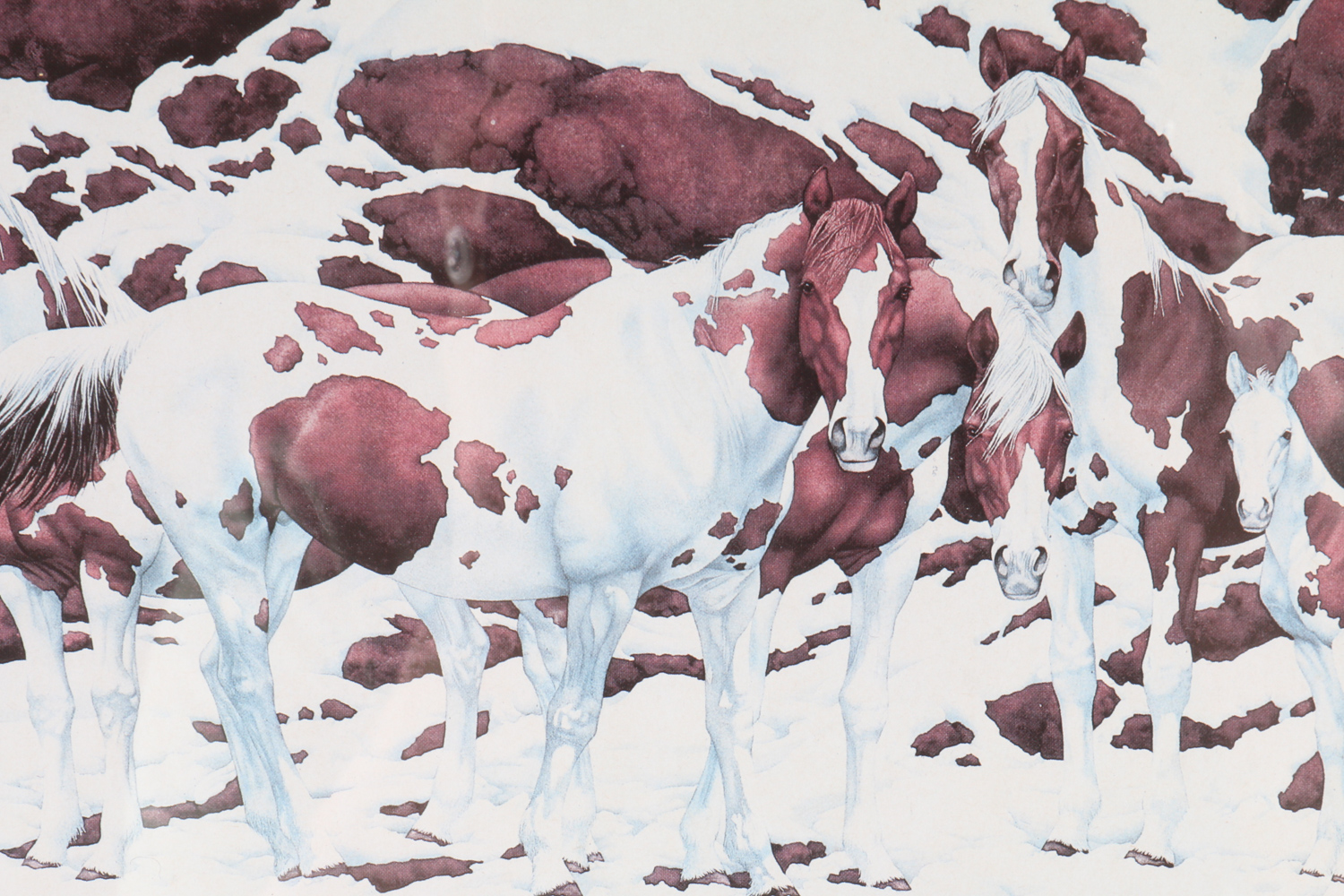 Bev Doolittle Lithograph Print with Art Books