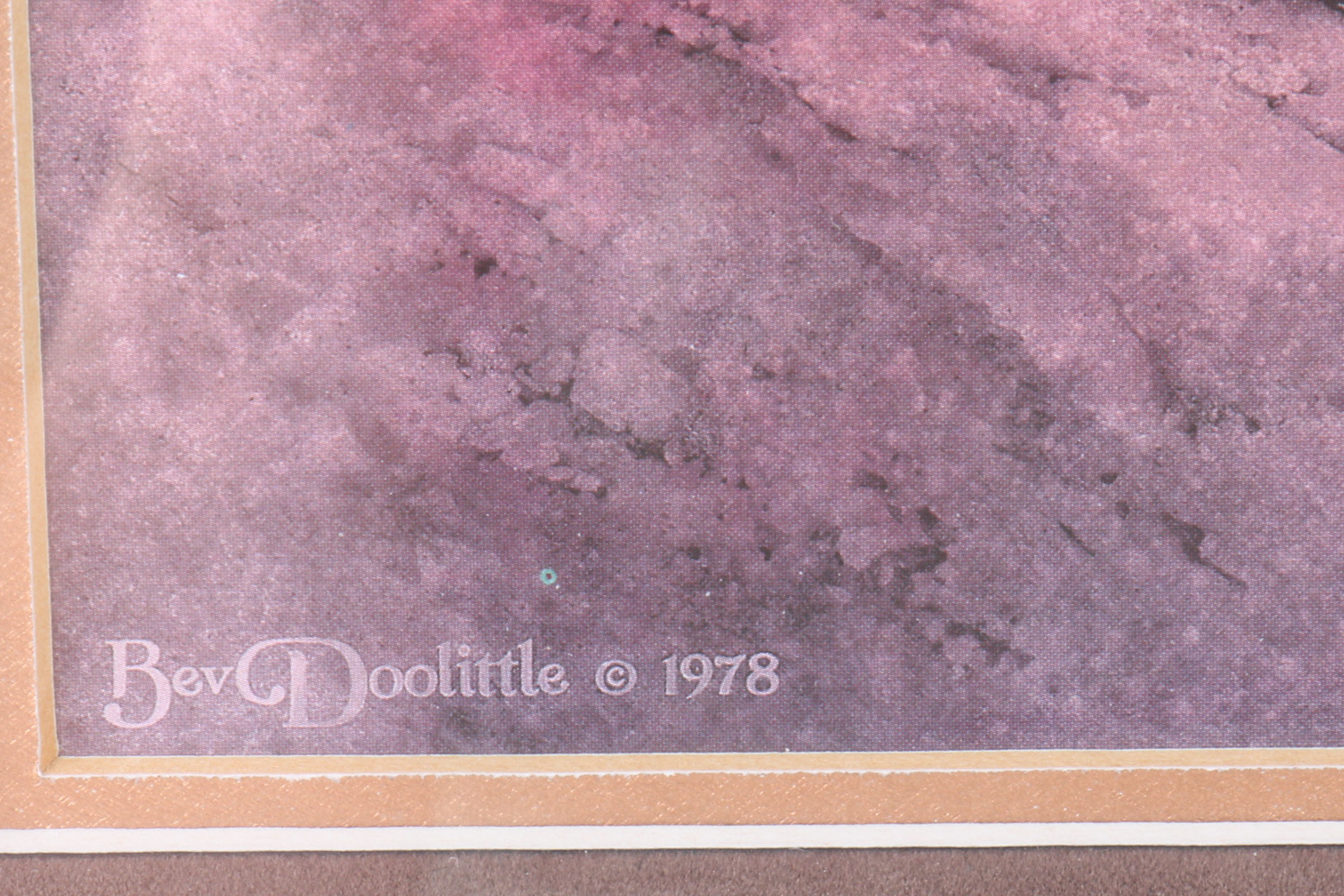 Bev Doolittle Lithograph Print with Art Books