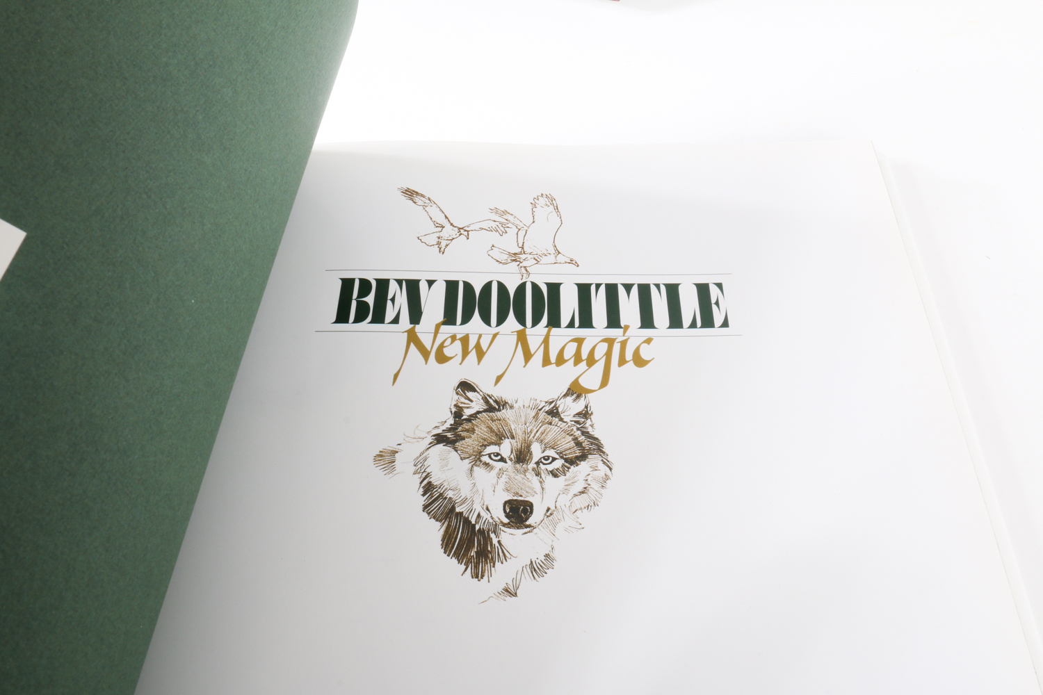 Bev Doolittle Lithograph Print with Art Books