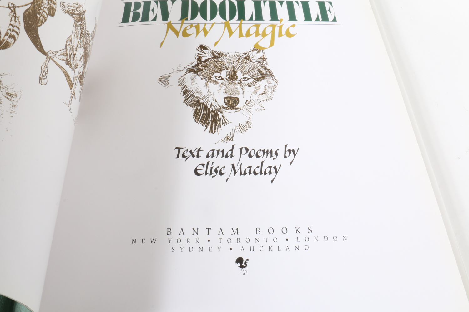 Bev Doolittle Lithograph Print with Art Books