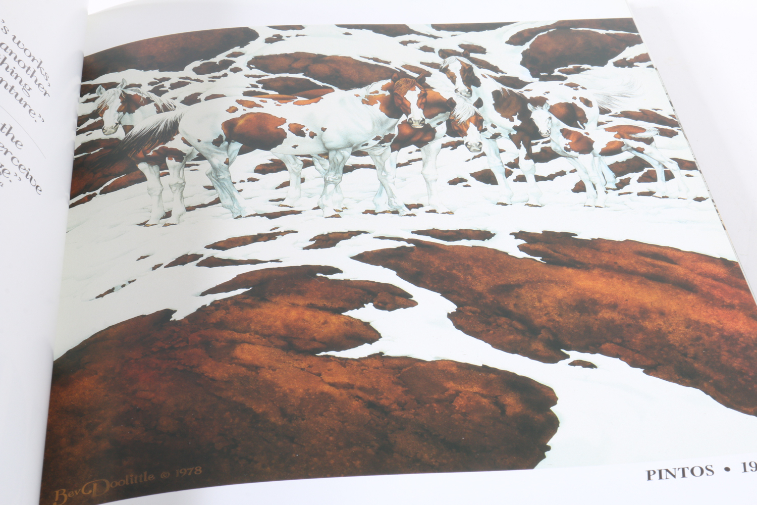 Bev Doolittle Lithograph Print with Art Books