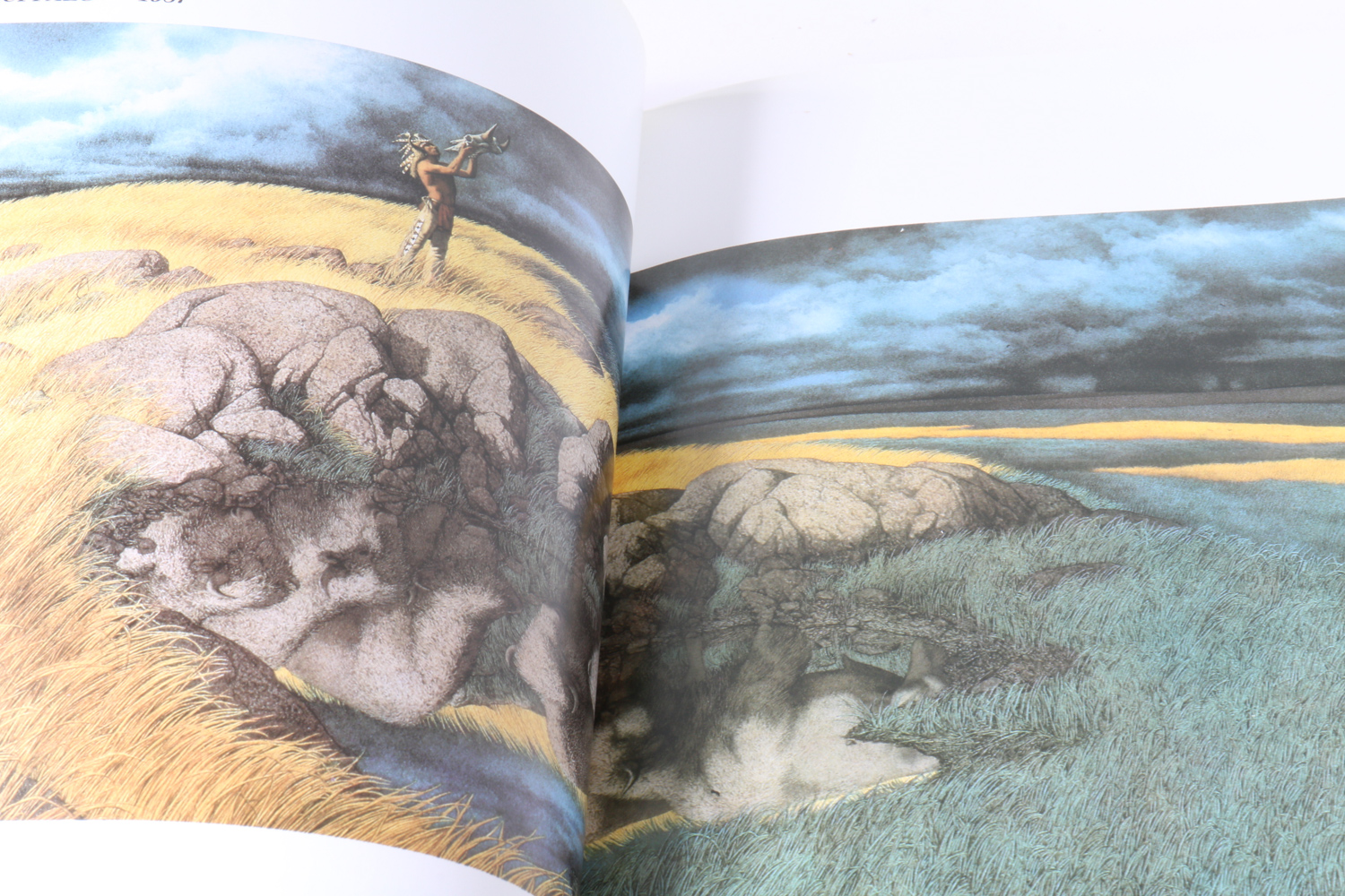 Bev Doolittle Lithograph Print with Art Books