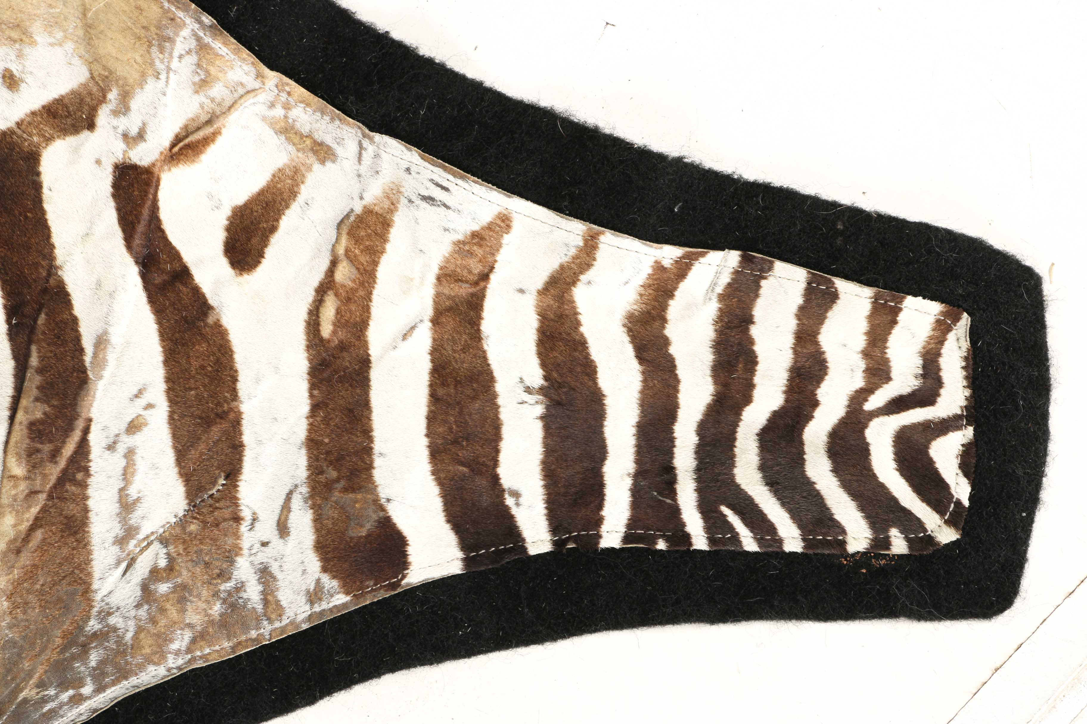 Zebra Pelt Area Rug