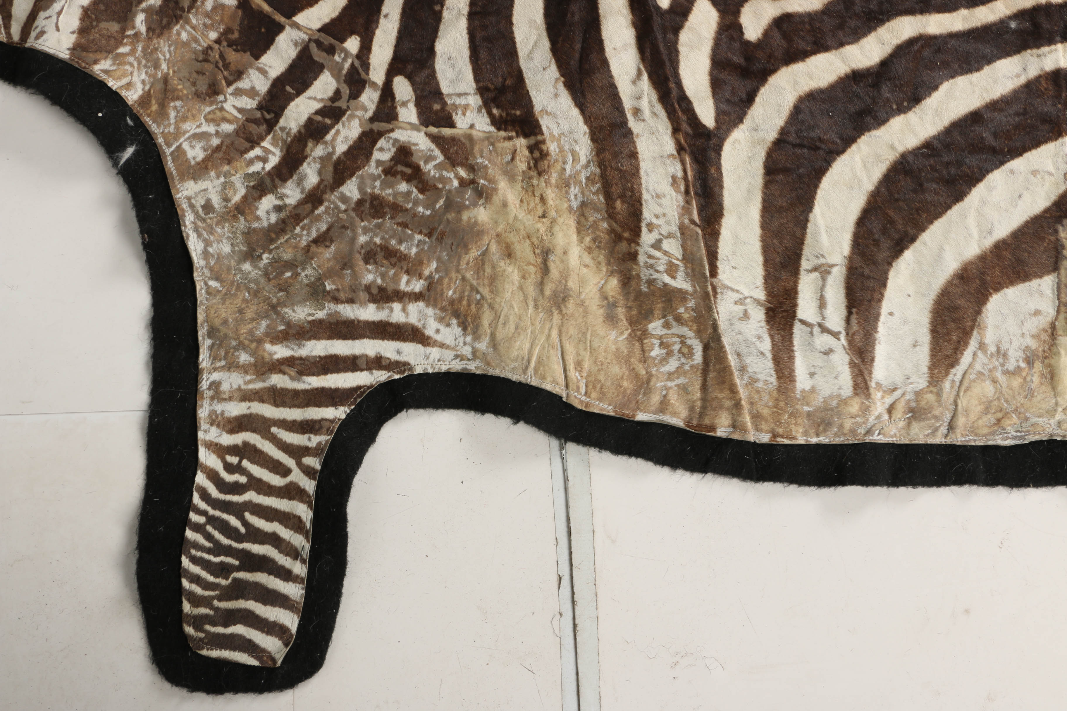 Zebra Pelt Area Rug