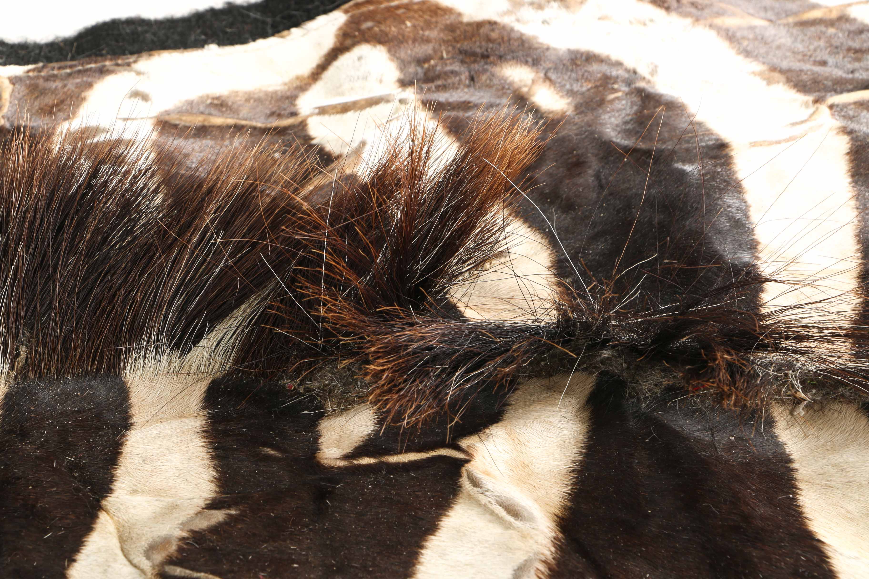 Zebra Pelt Area Rug