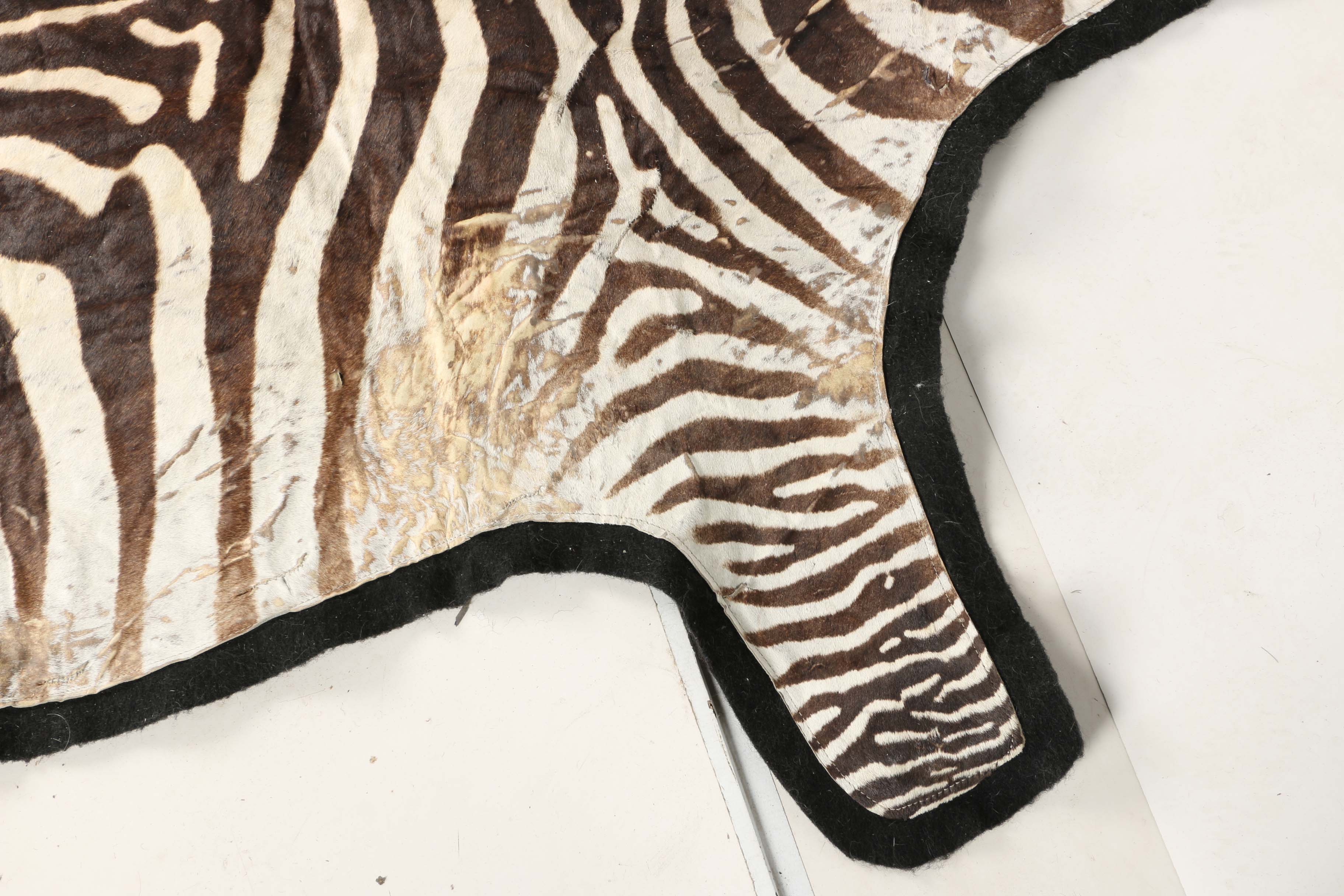Zebra Pelt Area Rug