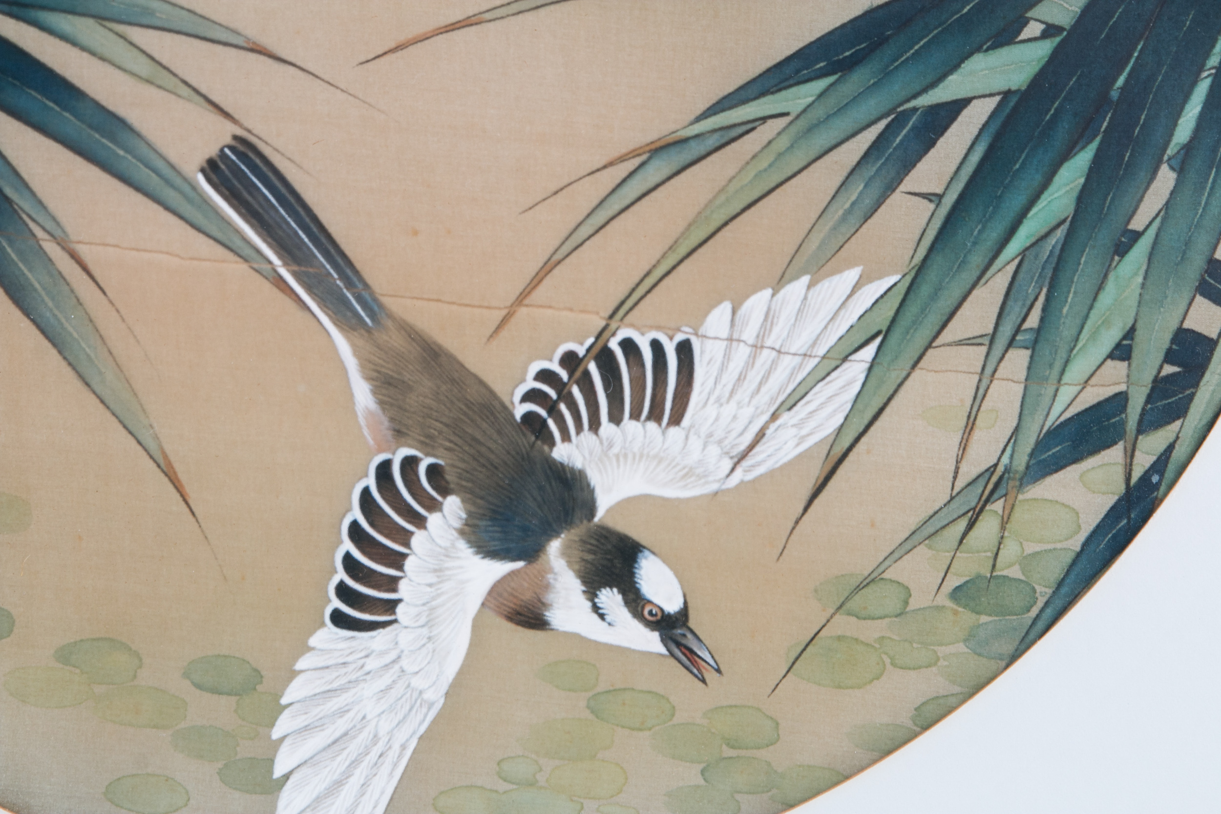 Chinese Avian Watercolor on Silk