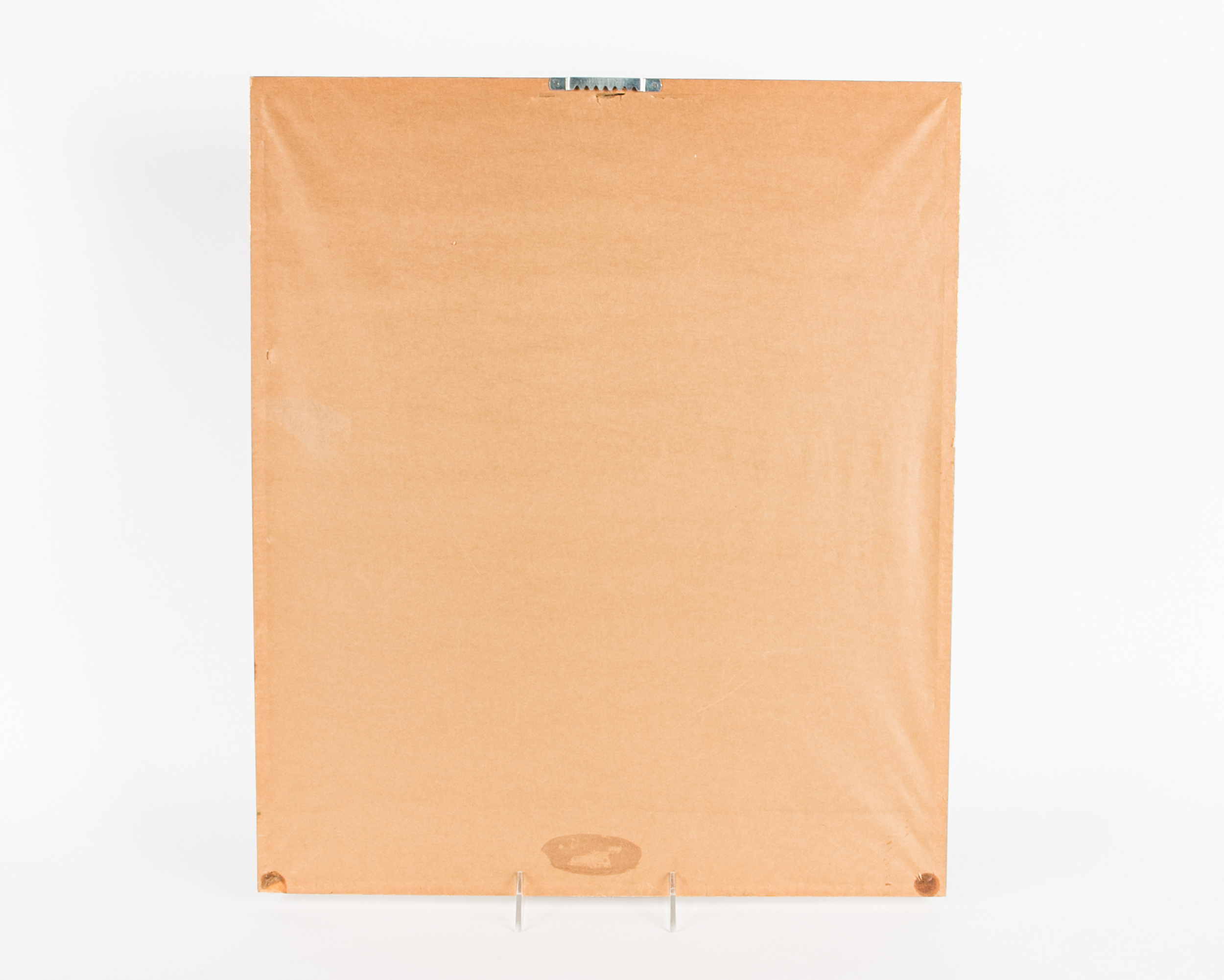 Chinese Avian Watercolor on Silk