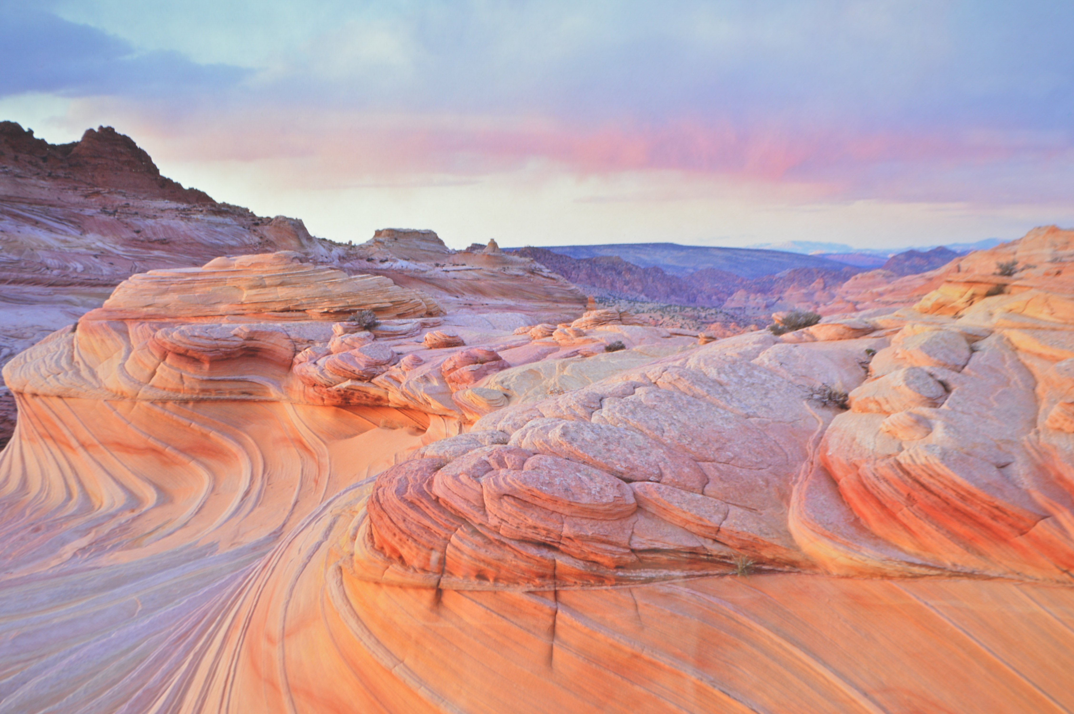 Michael Fatali Signed Enlarged Photographed