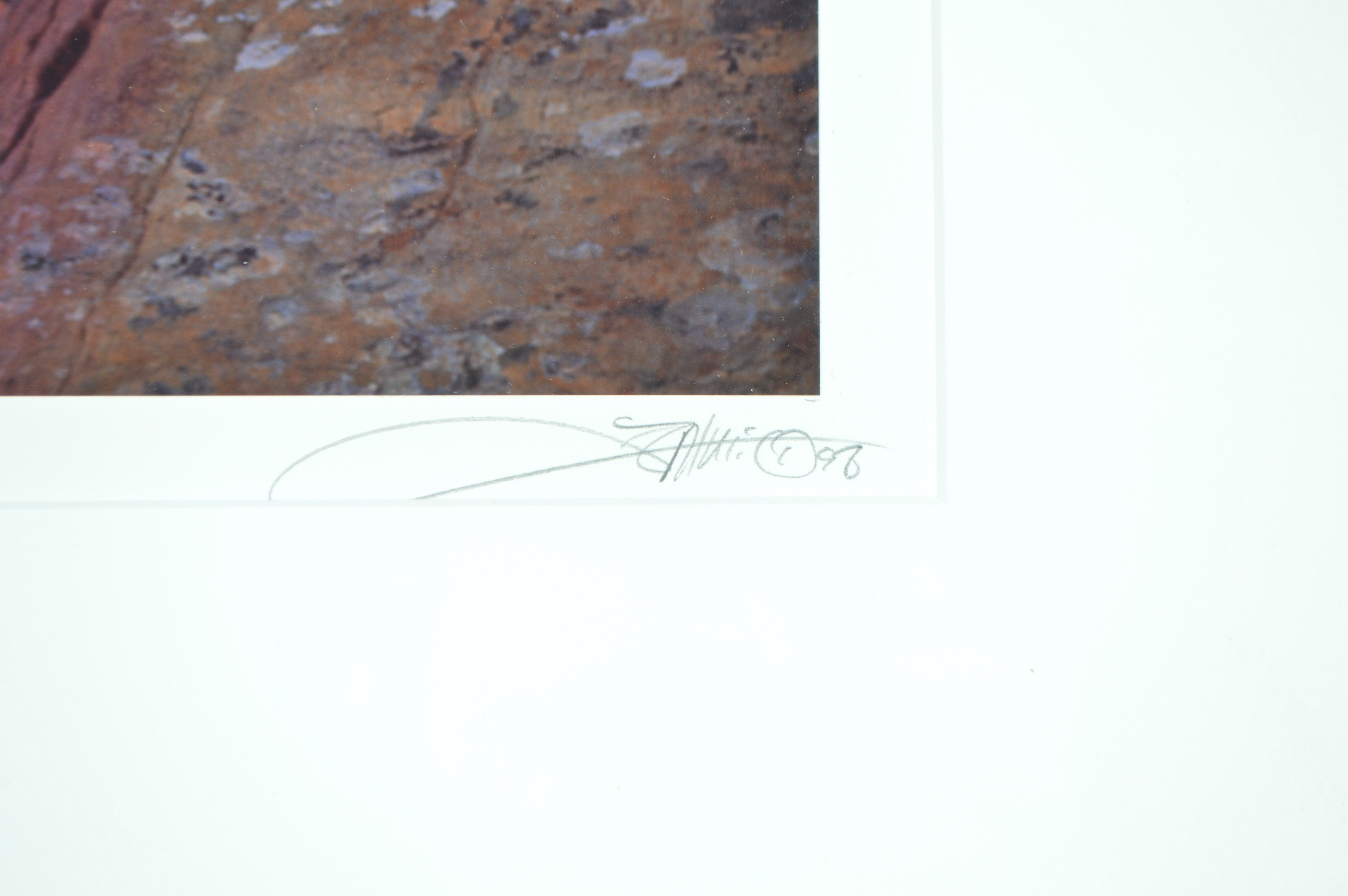 Michael Fatali Signed Enlarged Photographed