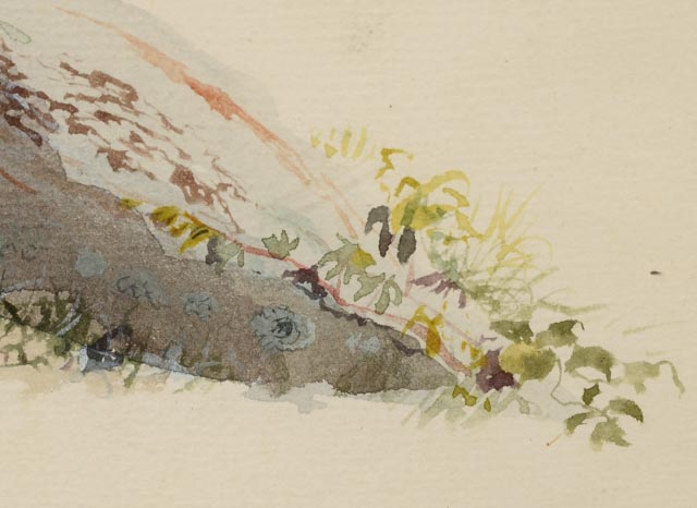 Charles DeWolf Brownell Original 1860 Watercolor "Lyme, Connecticut"