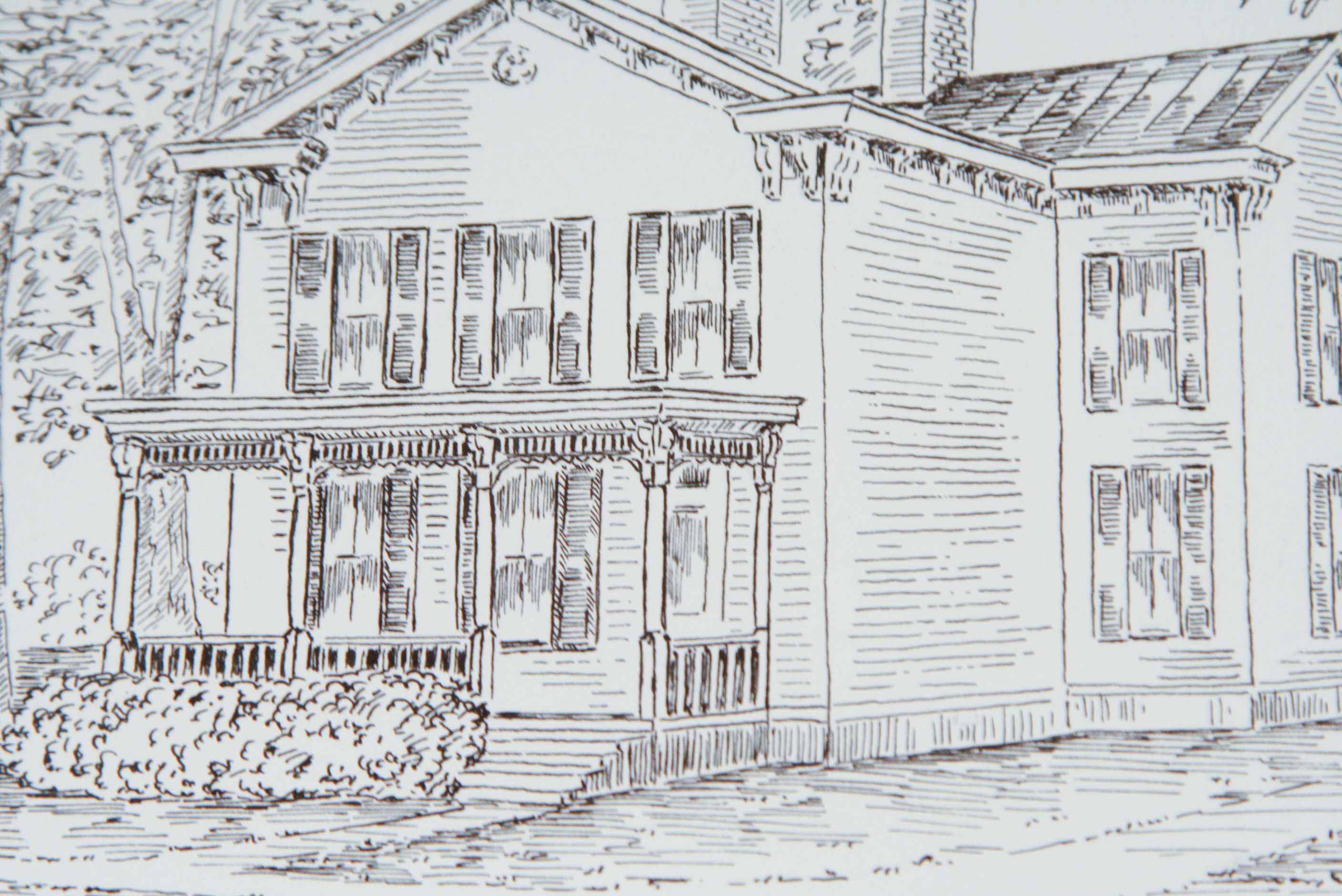 Collection of Prints by Donna Cole, Two Signed