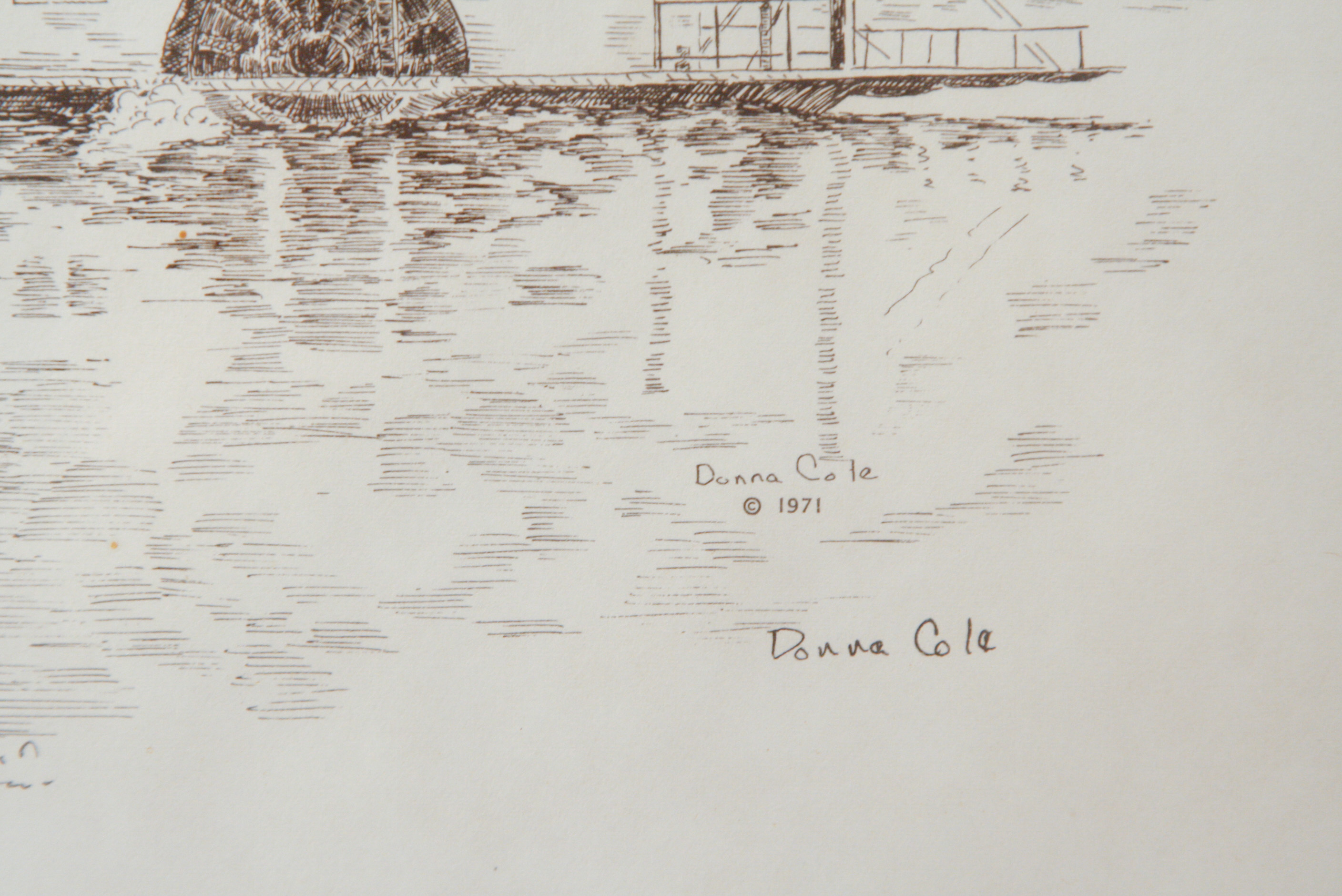 Collection of Prints by Donna Cole, Two Signed