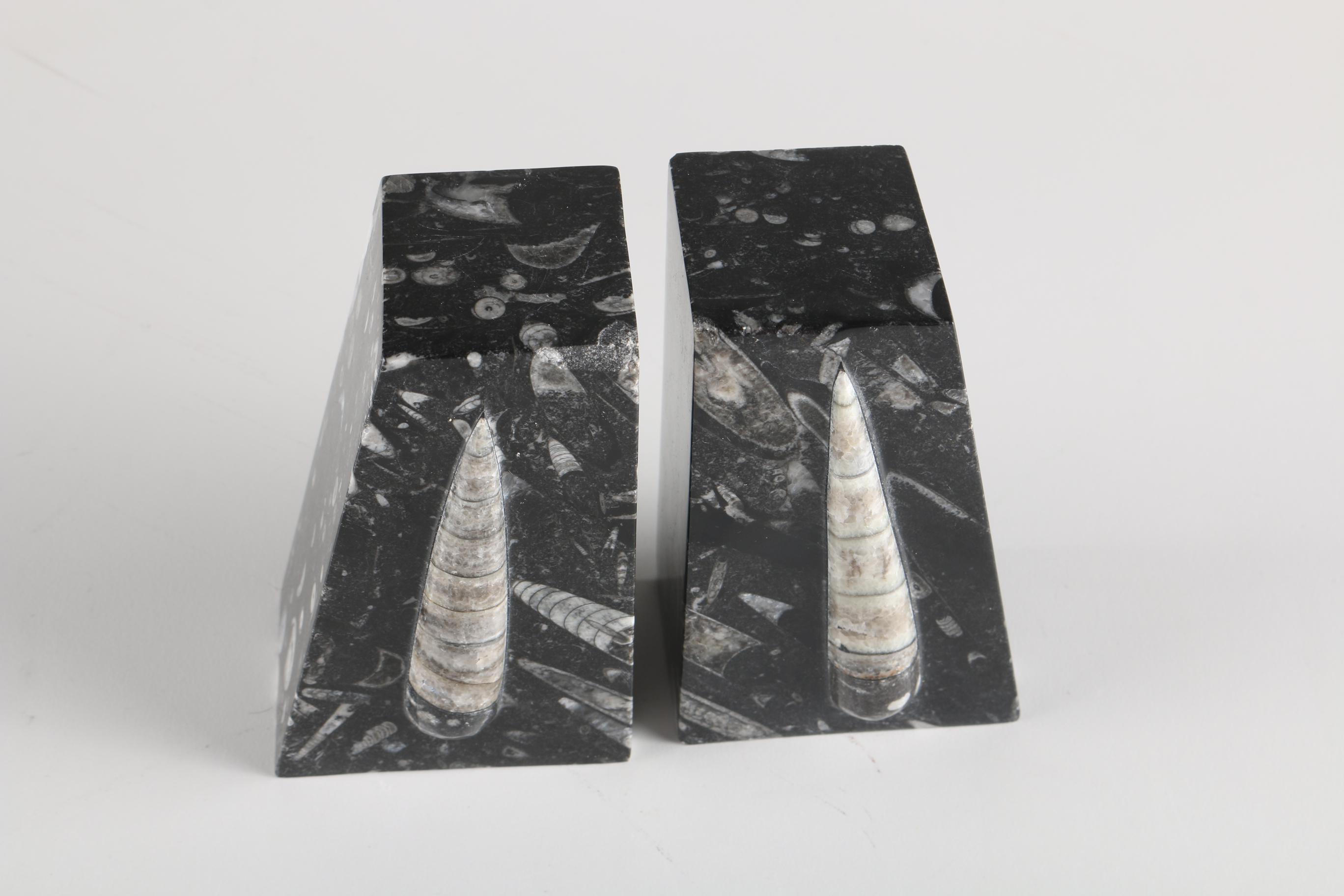 Fossiliferous Limestone Bookends