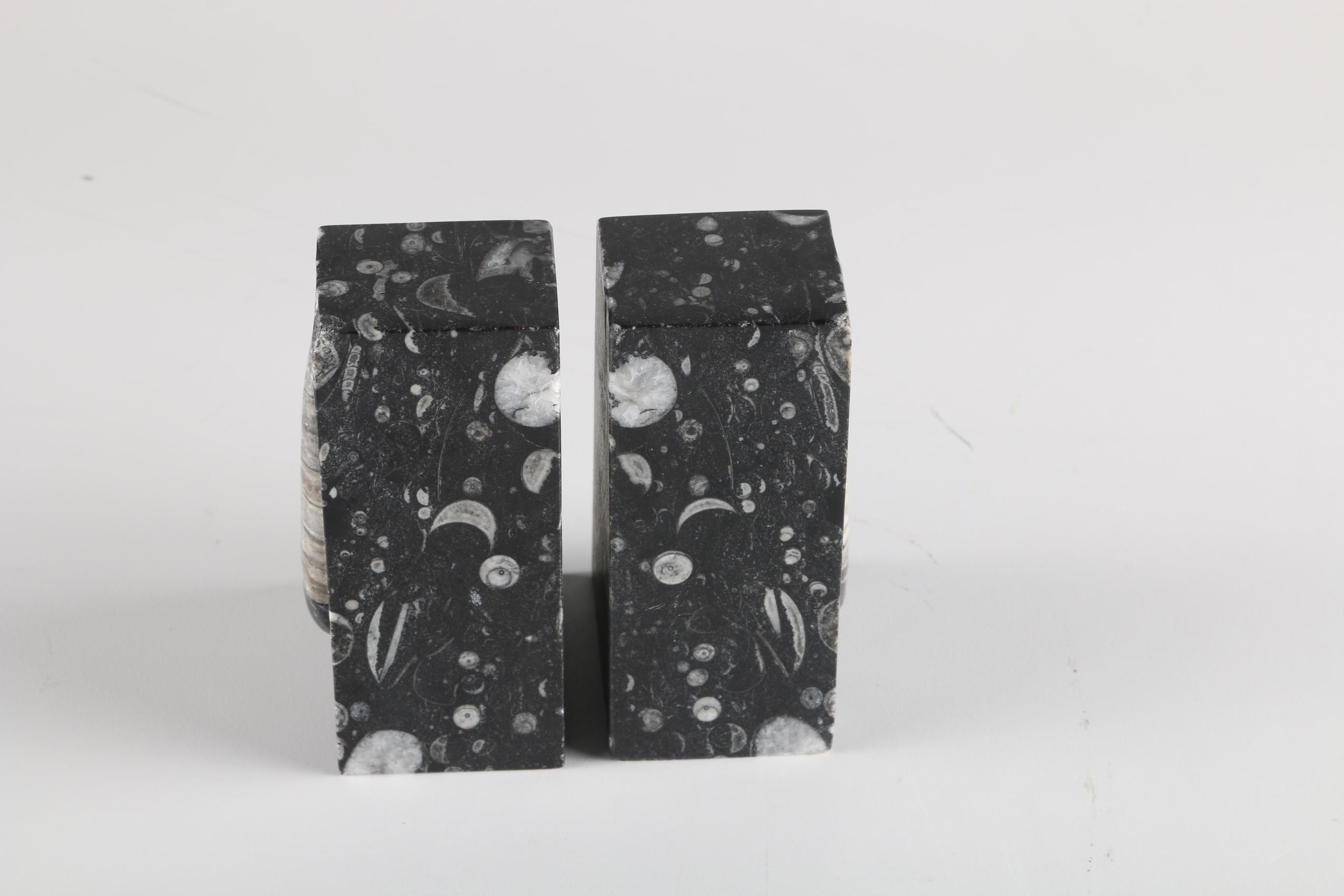 Fossiliferous Limestone Bookends