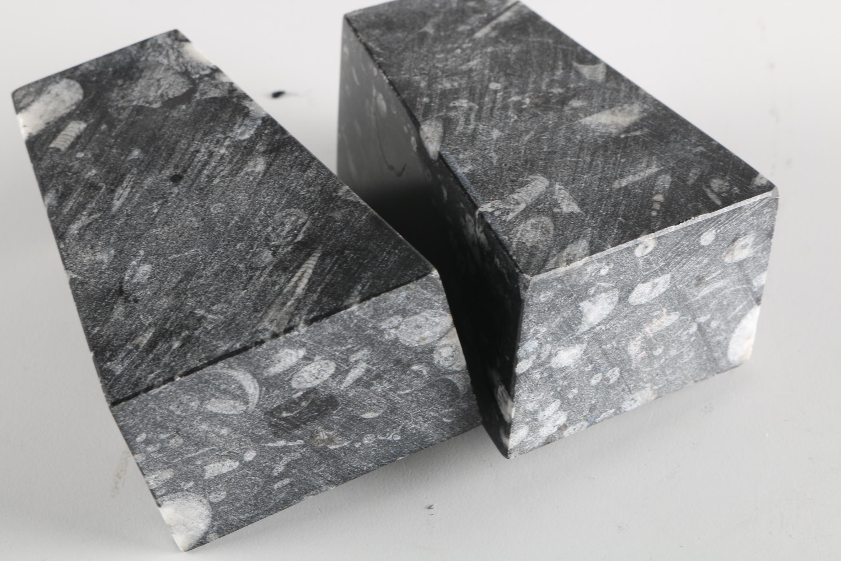 Fossiliferous Limestone Bookends