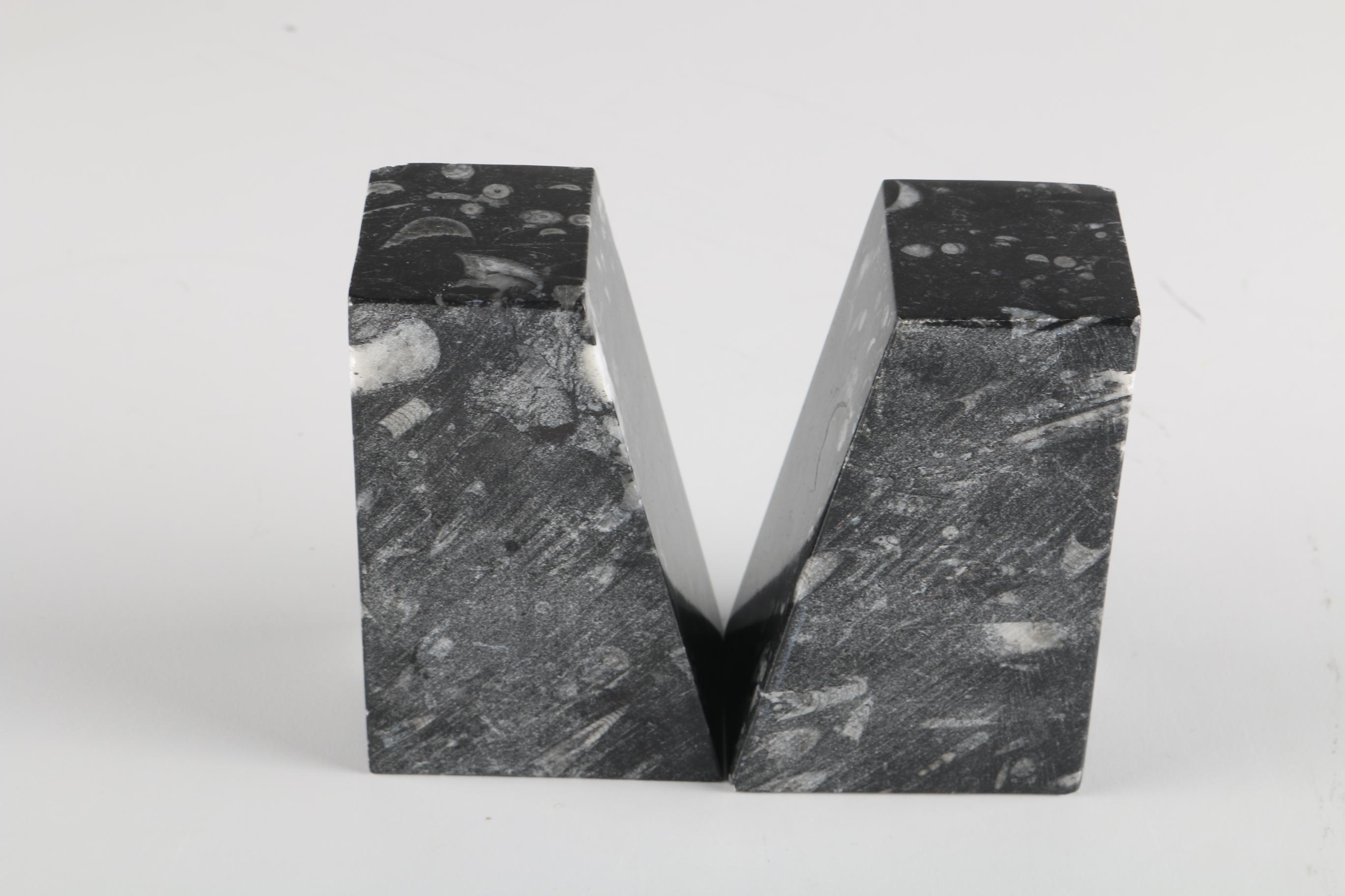 Fossiliferous Limestone Bookends