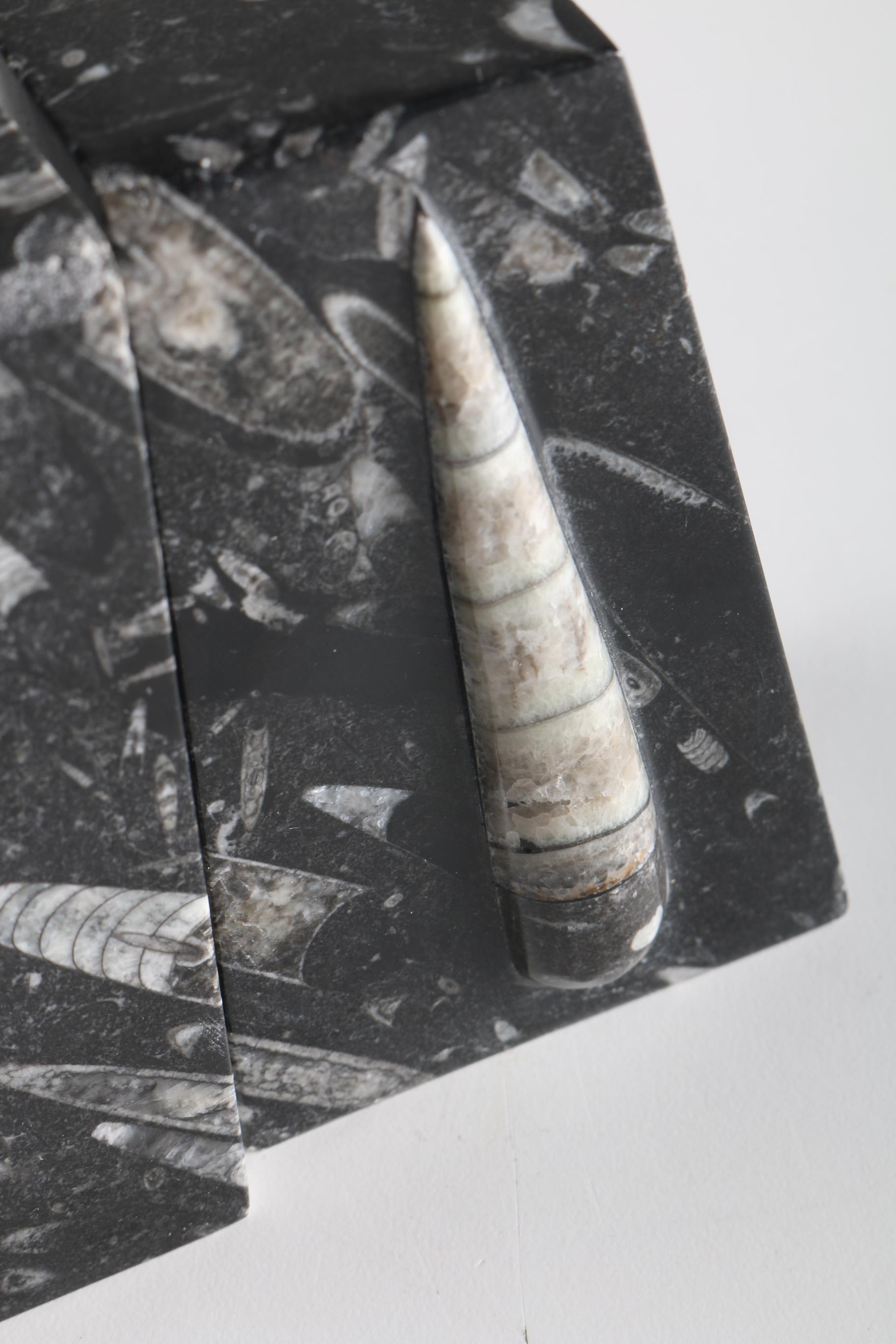 Fossiliferous Limestone Bookends