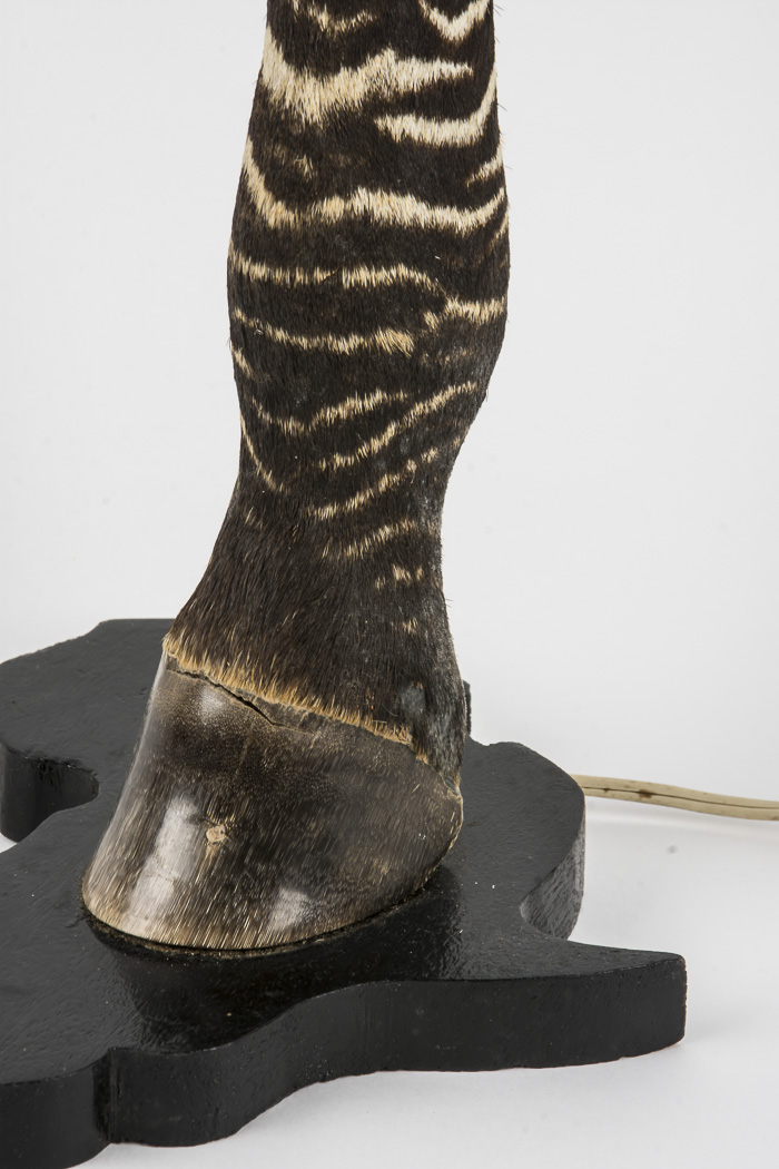Taxidermy Zebra Leg Lamp