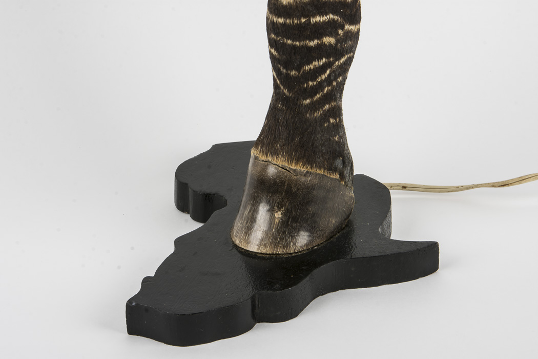 Taxidermy Zebra Leg Lamp