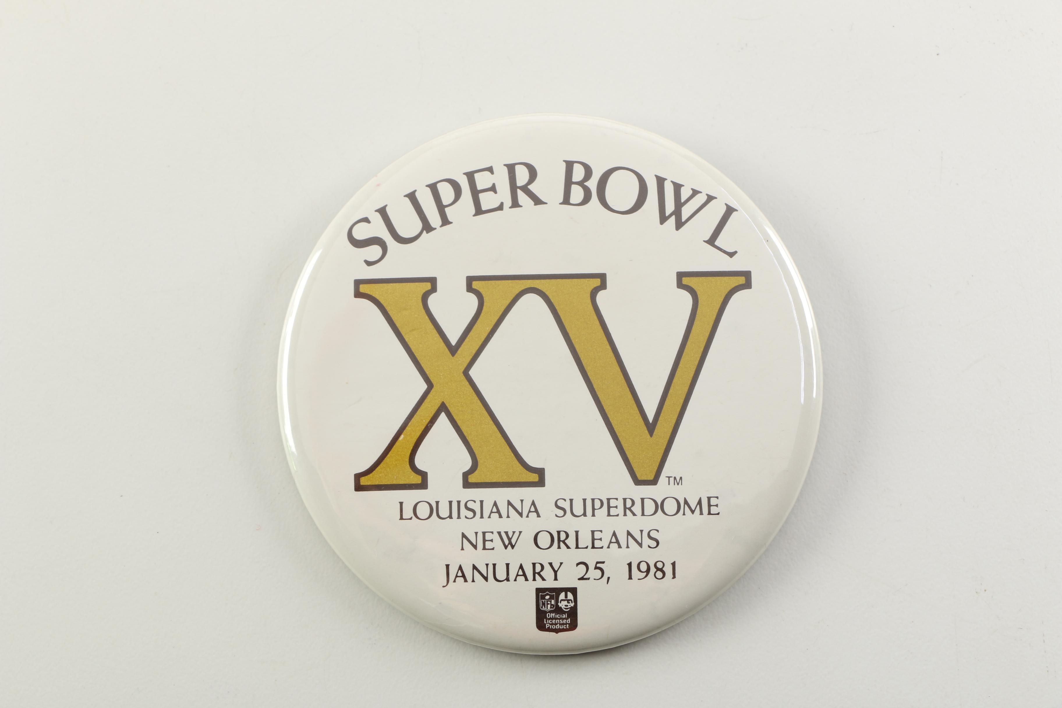 Miami Dolphins Pins and Scarf