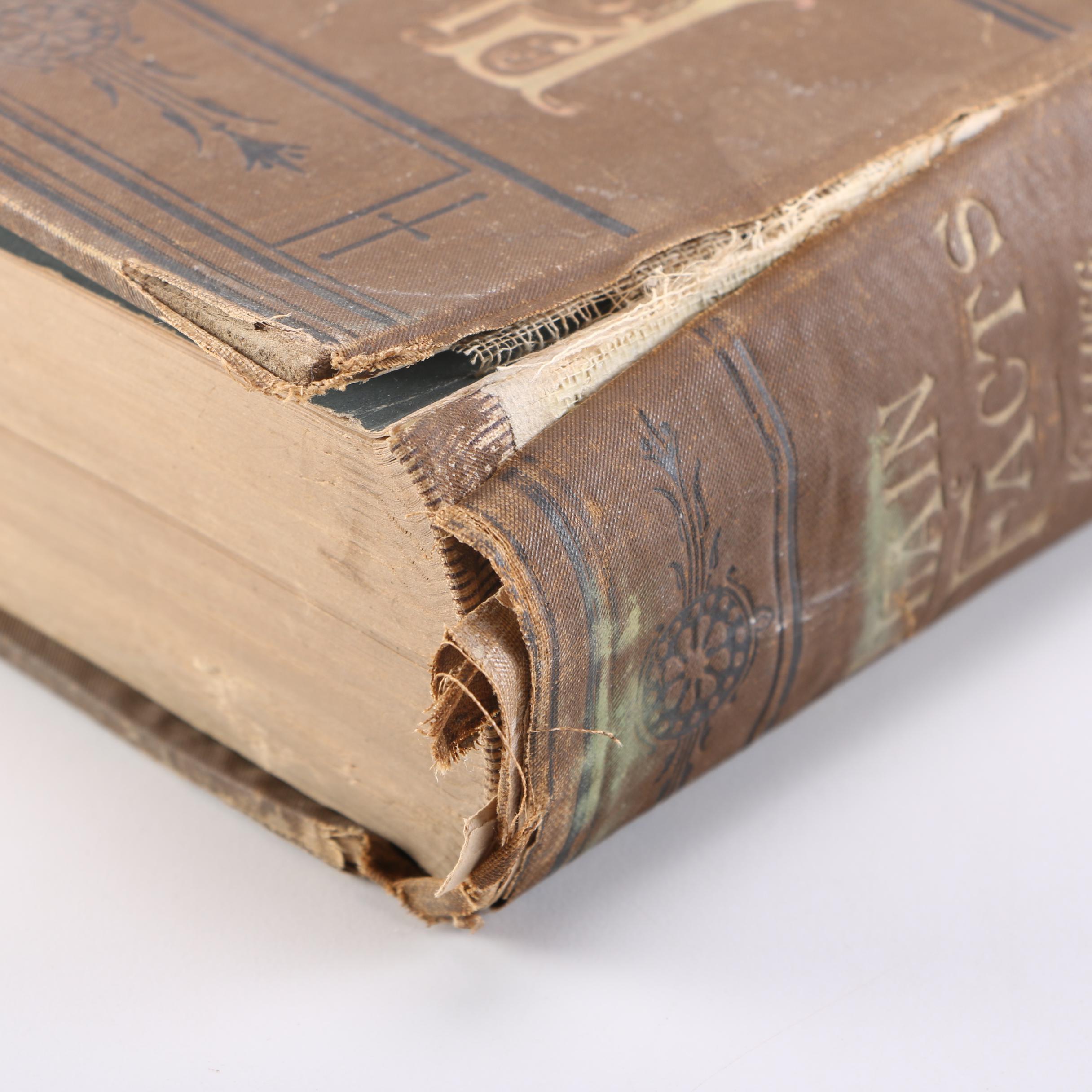 1880 John Harvey Kellogg "Plain Facts for Old and Young"