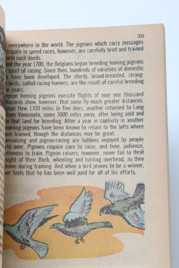 Three Golden Comics Digest