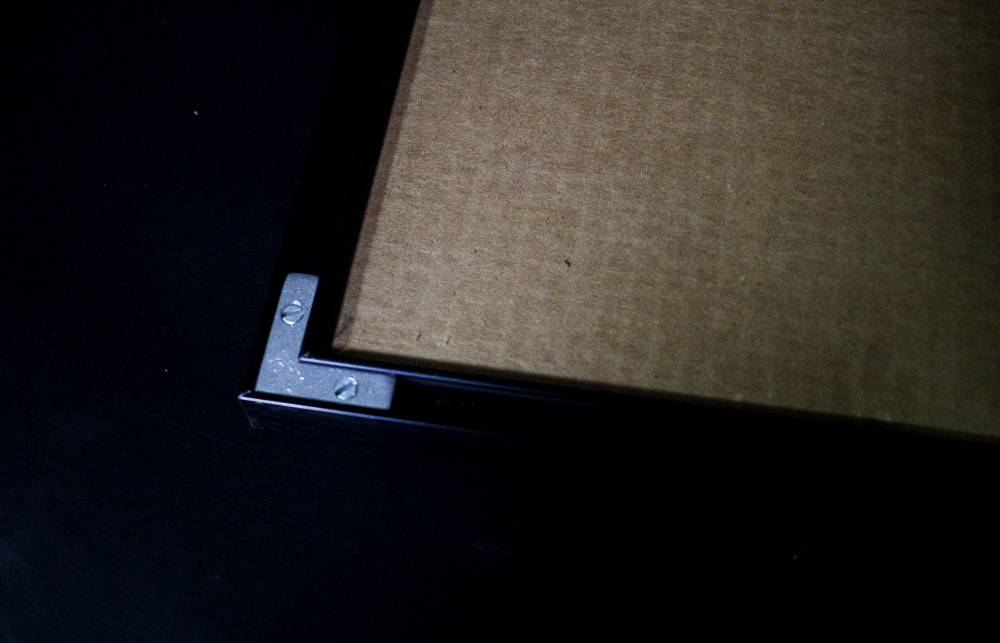 Limited Edition Signed "Cypress Swamp" Serigraph by Ron Picou