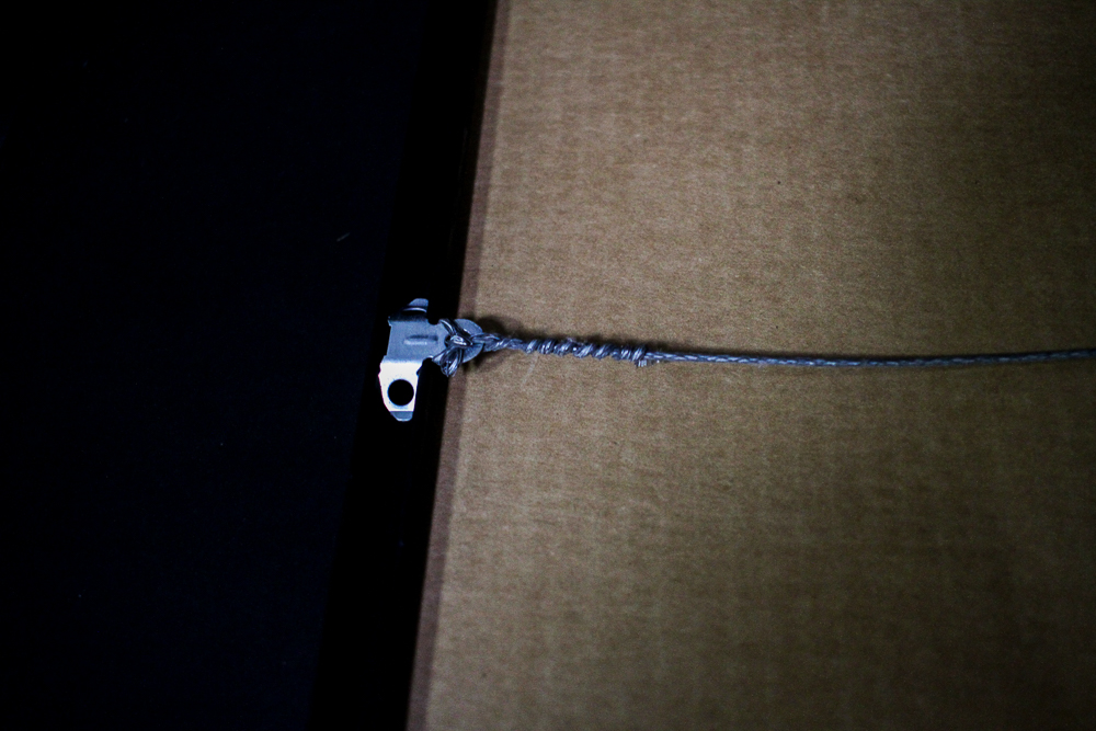 Limited Edition Signed "Cypress Swamp" Serigraph by Ron Picou