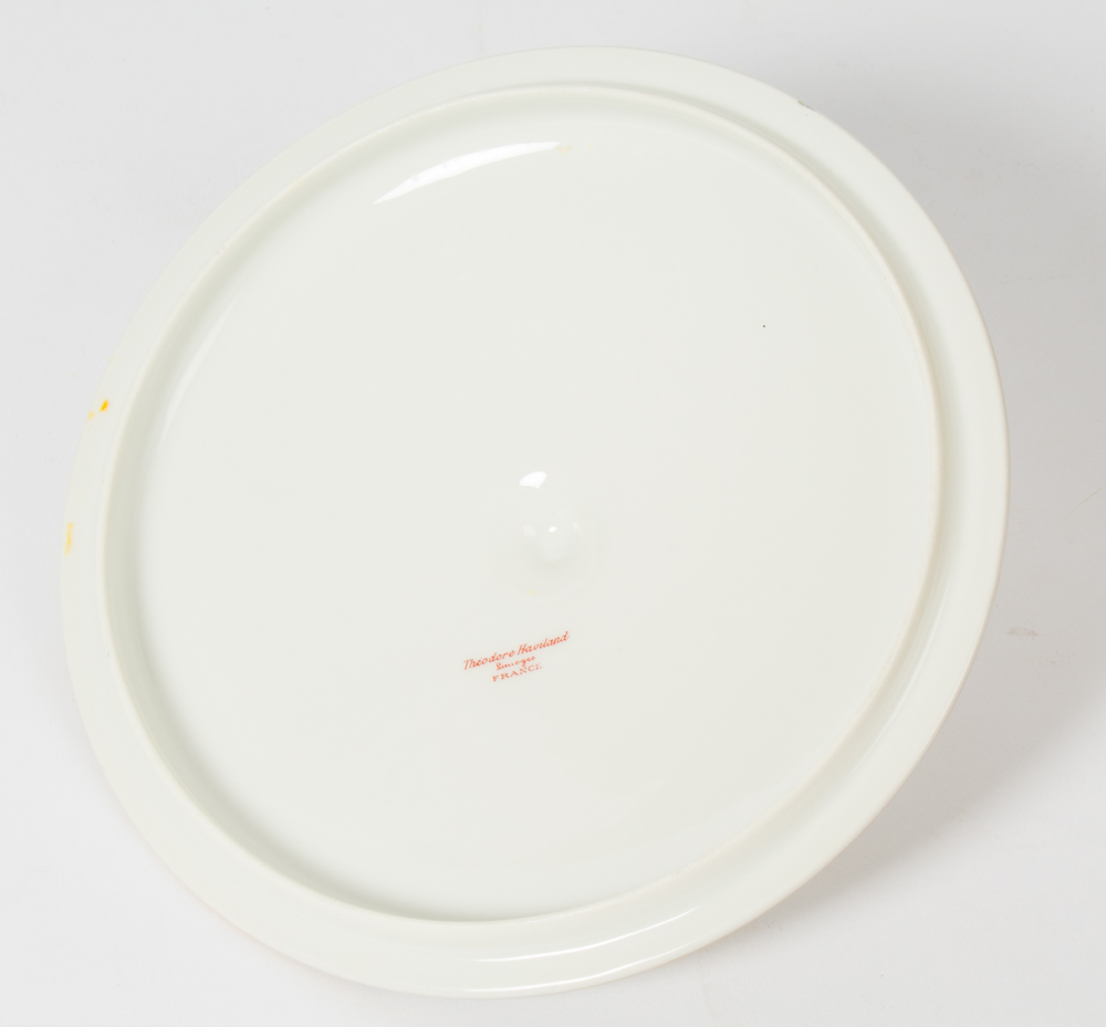 Theodore Haviland Limoges Dinner Service