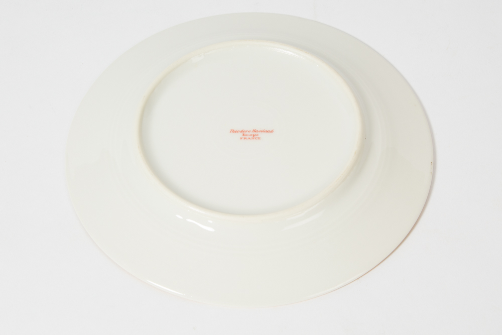 Theodore Haviland Limoges Dinner Service