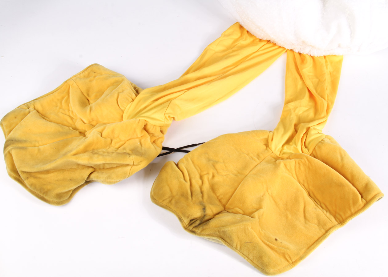 Collection of Donald Duck Items