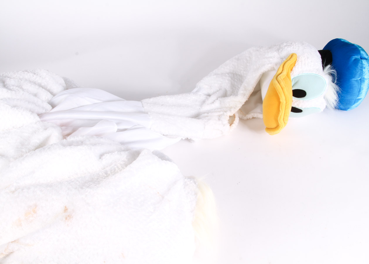 Collection of Donald Duck Items